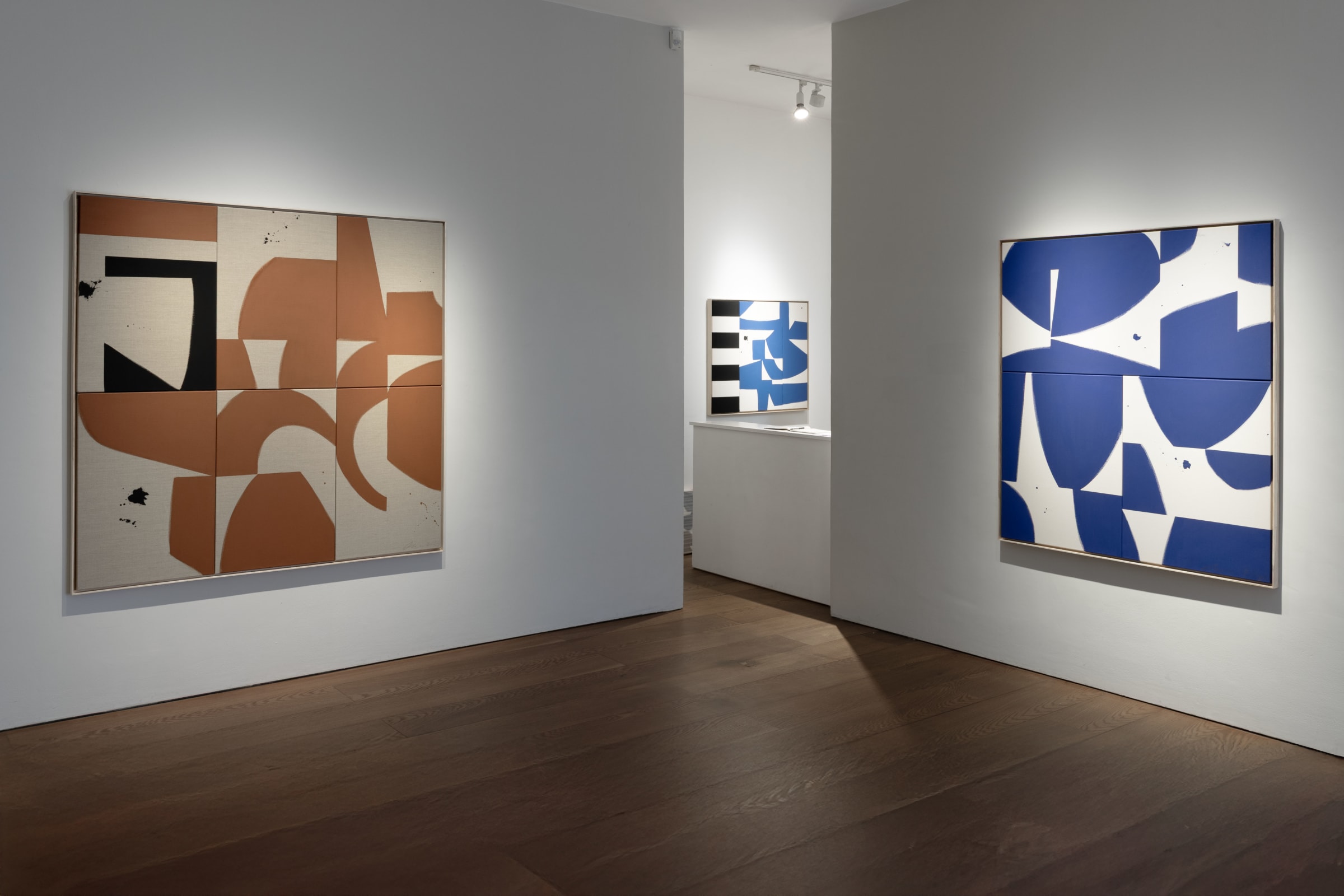 Liza Giles In Flux