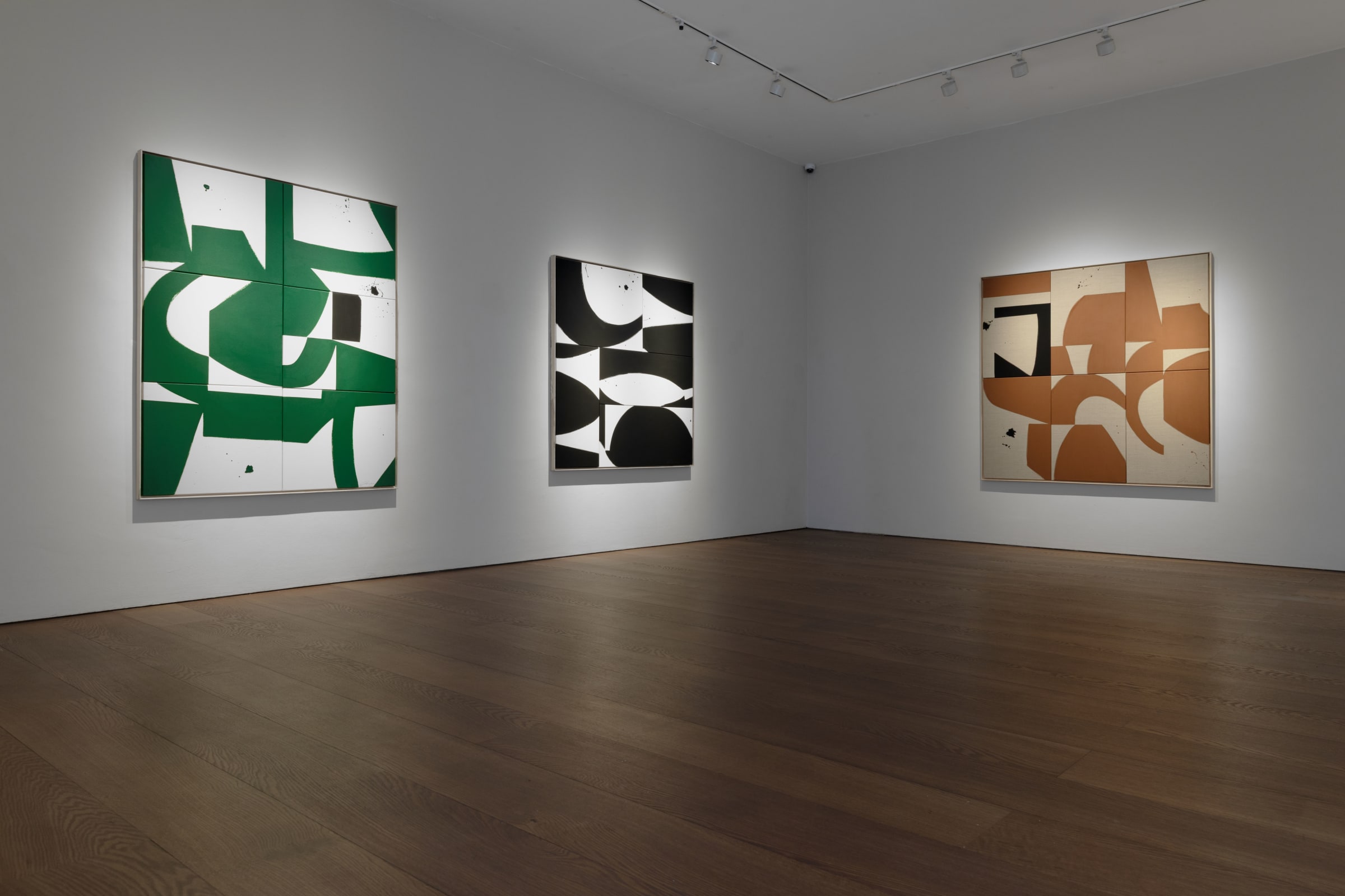 Liza Giles In Flux