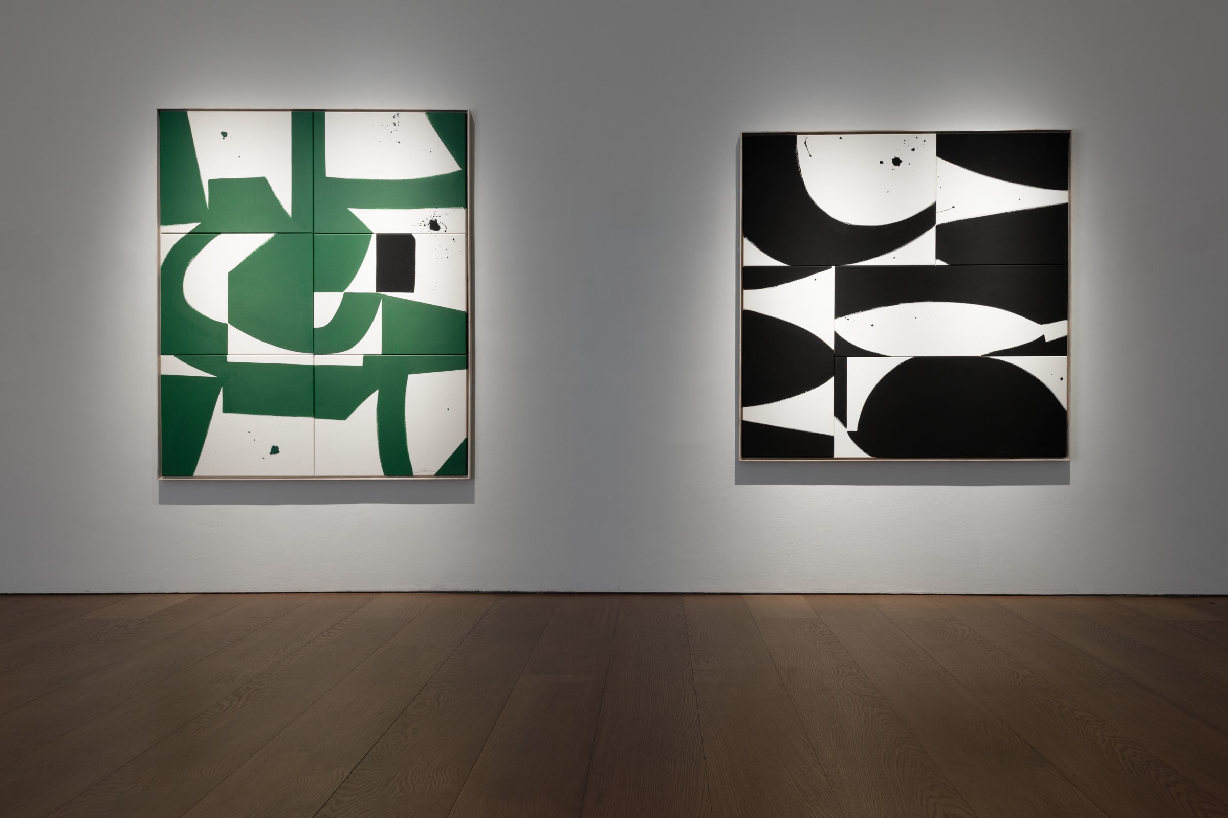 Liza Giles In Flux