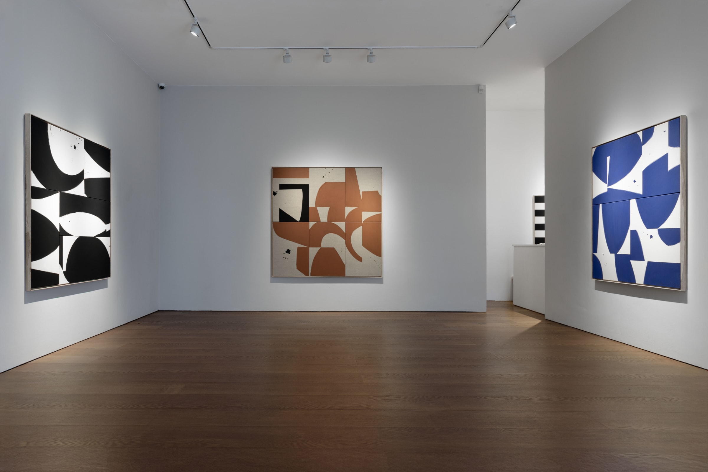 Liza Giles In Flux