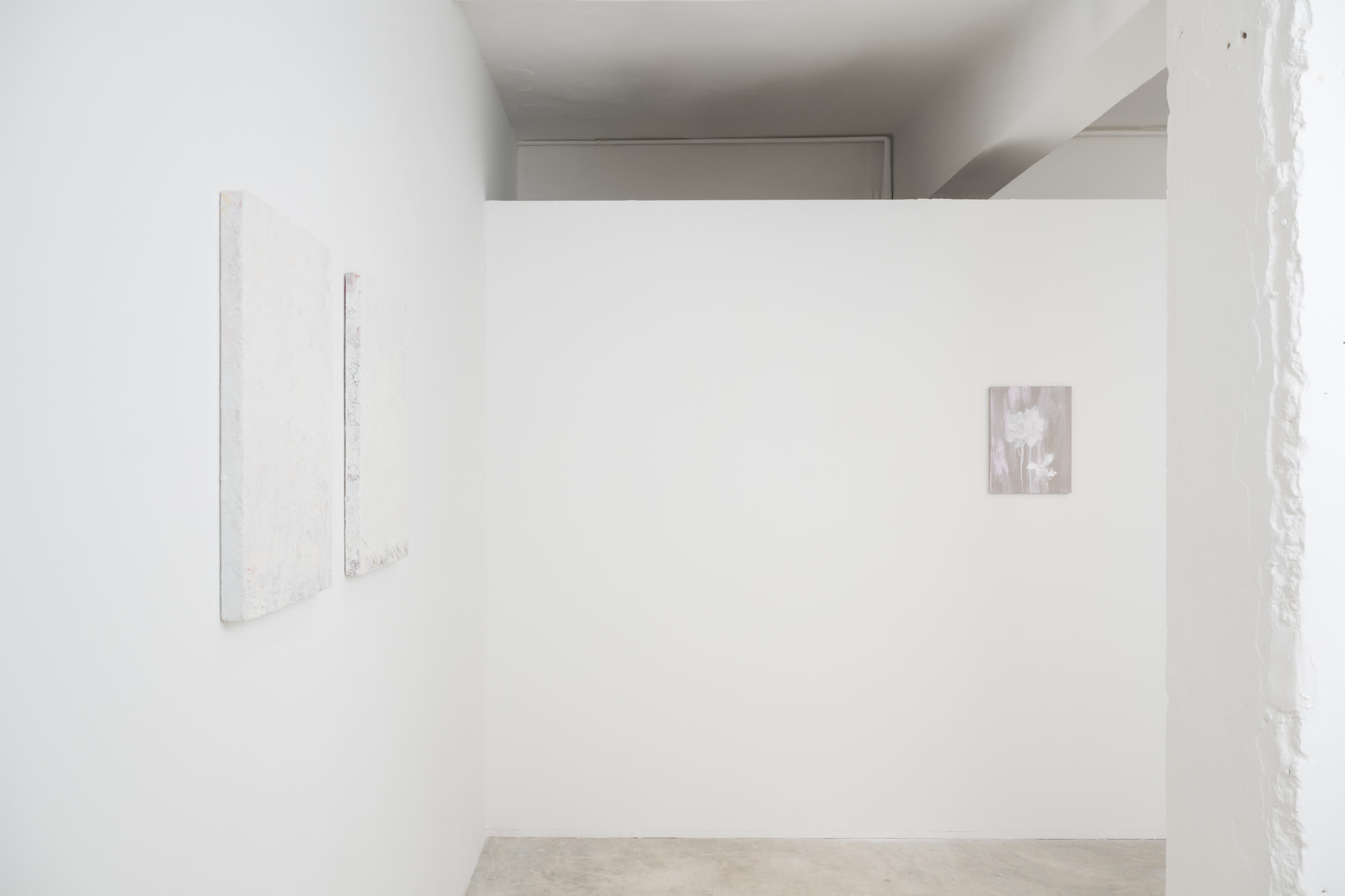 Was it a vision, or a waking dream? Chen Zhe, Bianca Raffaella and Aida Tomescu