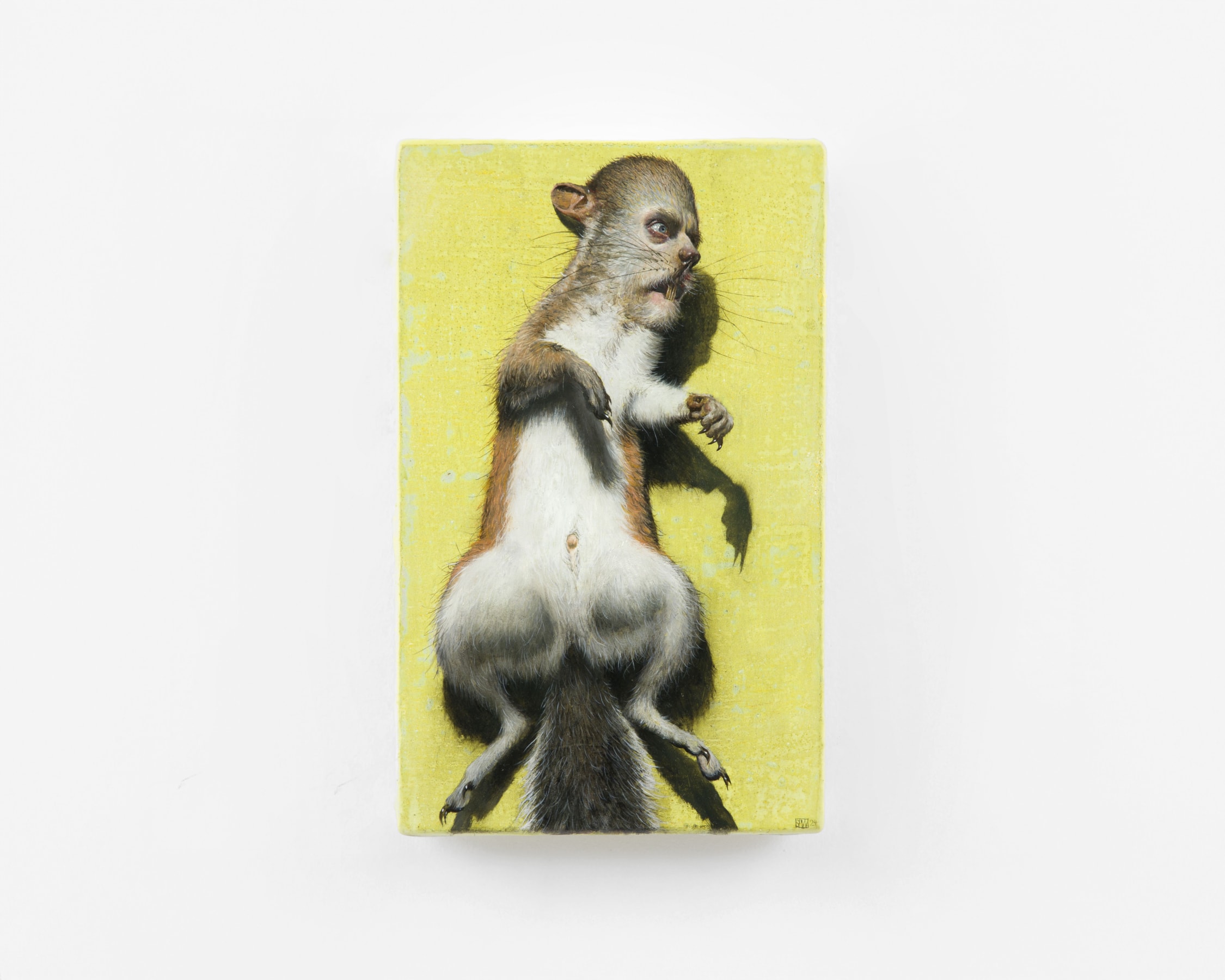 Stuart Pearson Wright Roadkill