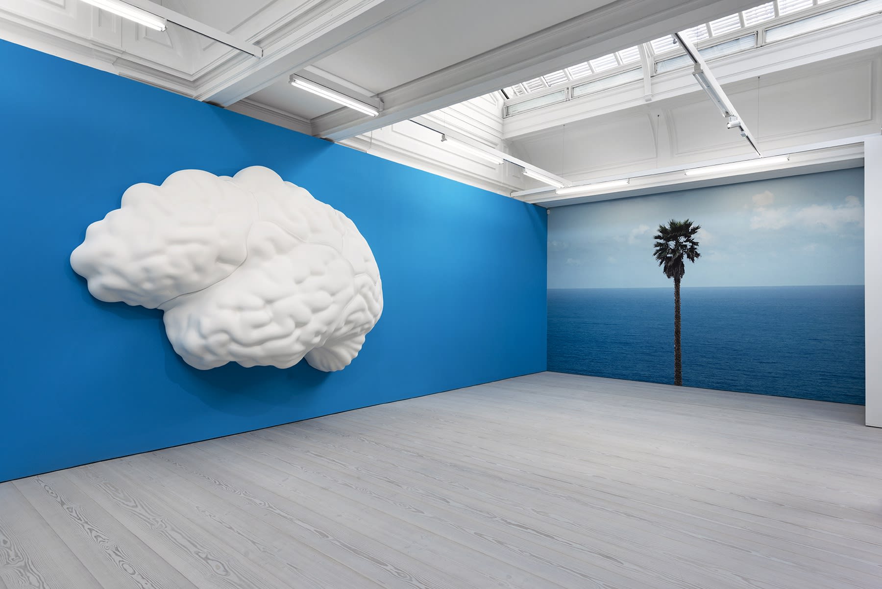 brain cloud playerfab brain cloud playerfab