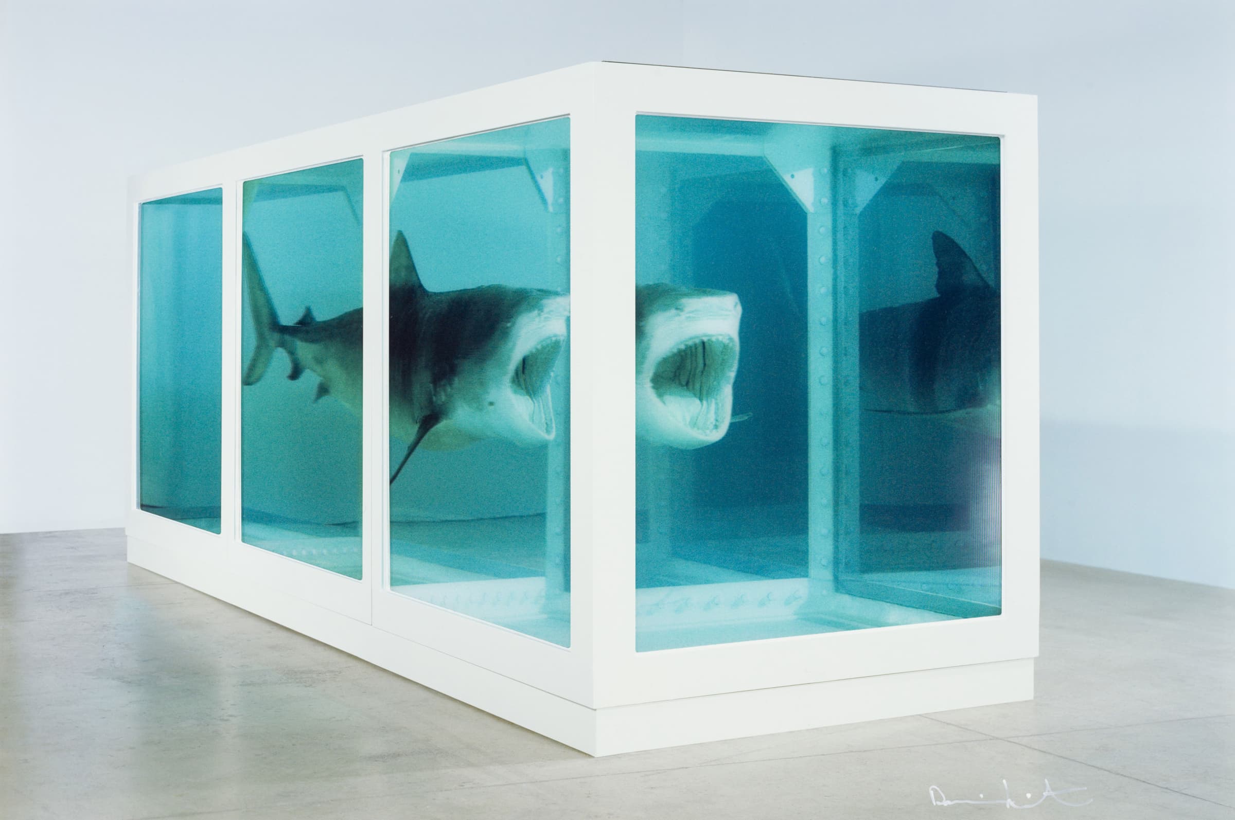 A Damien Hirst work of the body of a shark suspended in glass is an example of blue chip art that is not affected by any tariff on art.