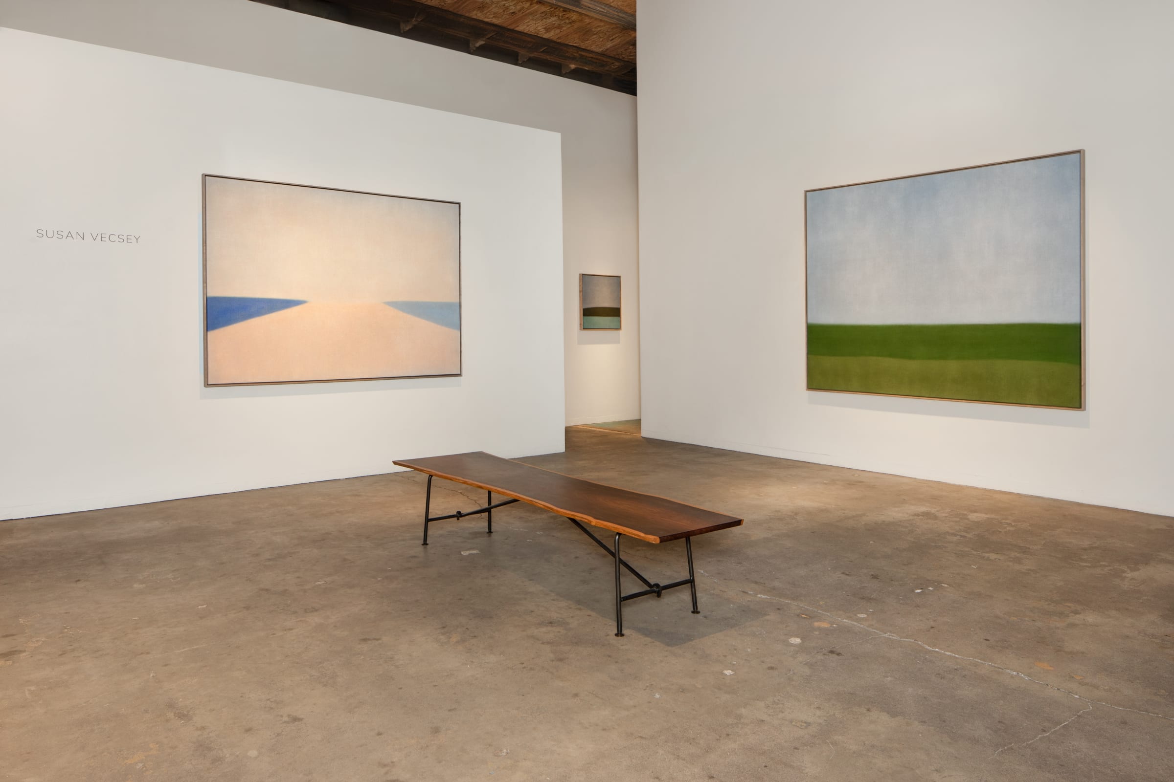 SUSAN VECSEY