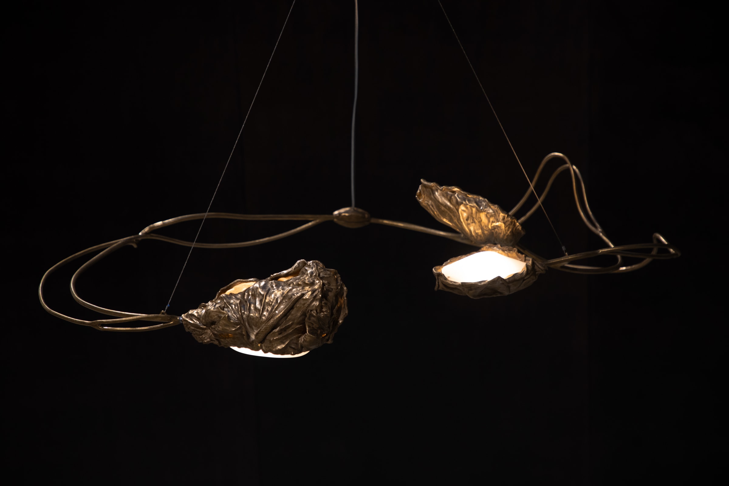 Marcin Rusak, Protoplasting Nature Chandelier 145, 2024