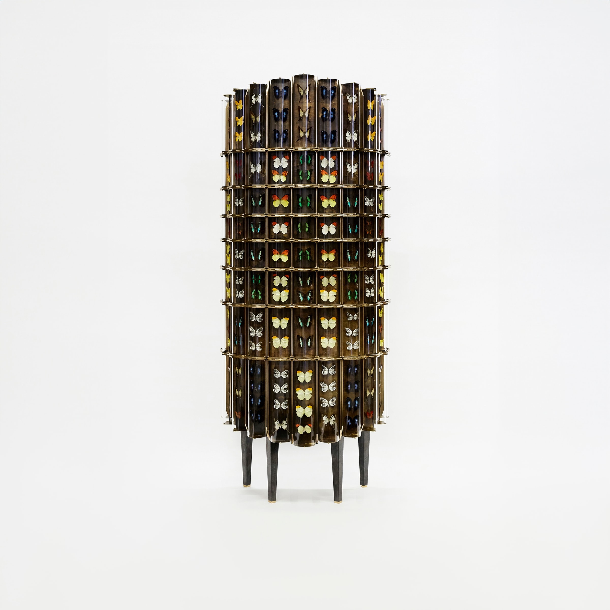 Erwan Boulloud, Cabinet de Curiosités, 2019