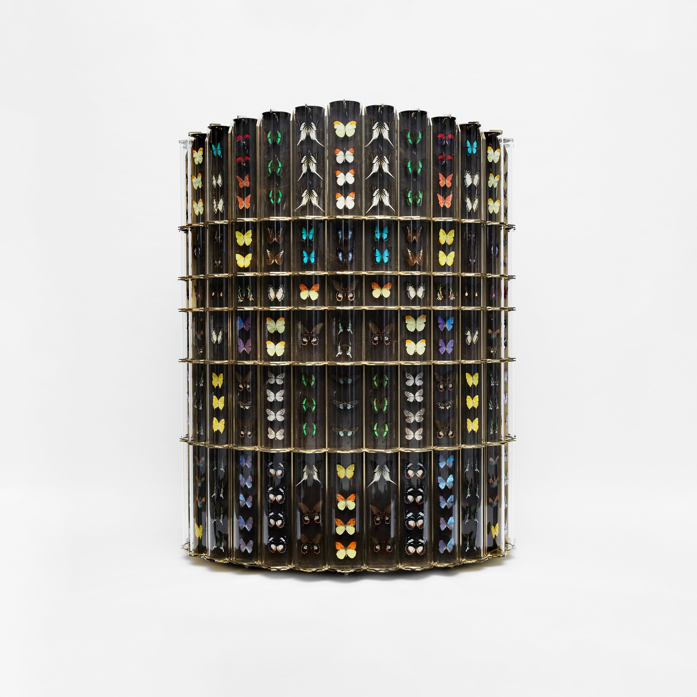 Erwan Boulloud, Bar des Curiosités, 2024
