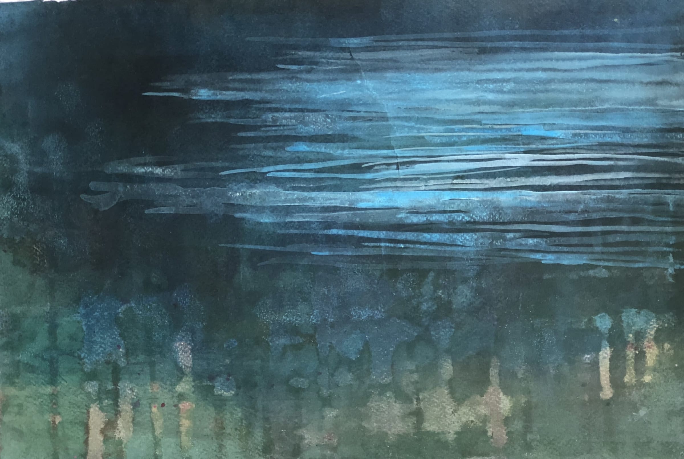 Robin Richmond RWS, Pond Weed, Lake Rouffiac, France | Bankside Gallery