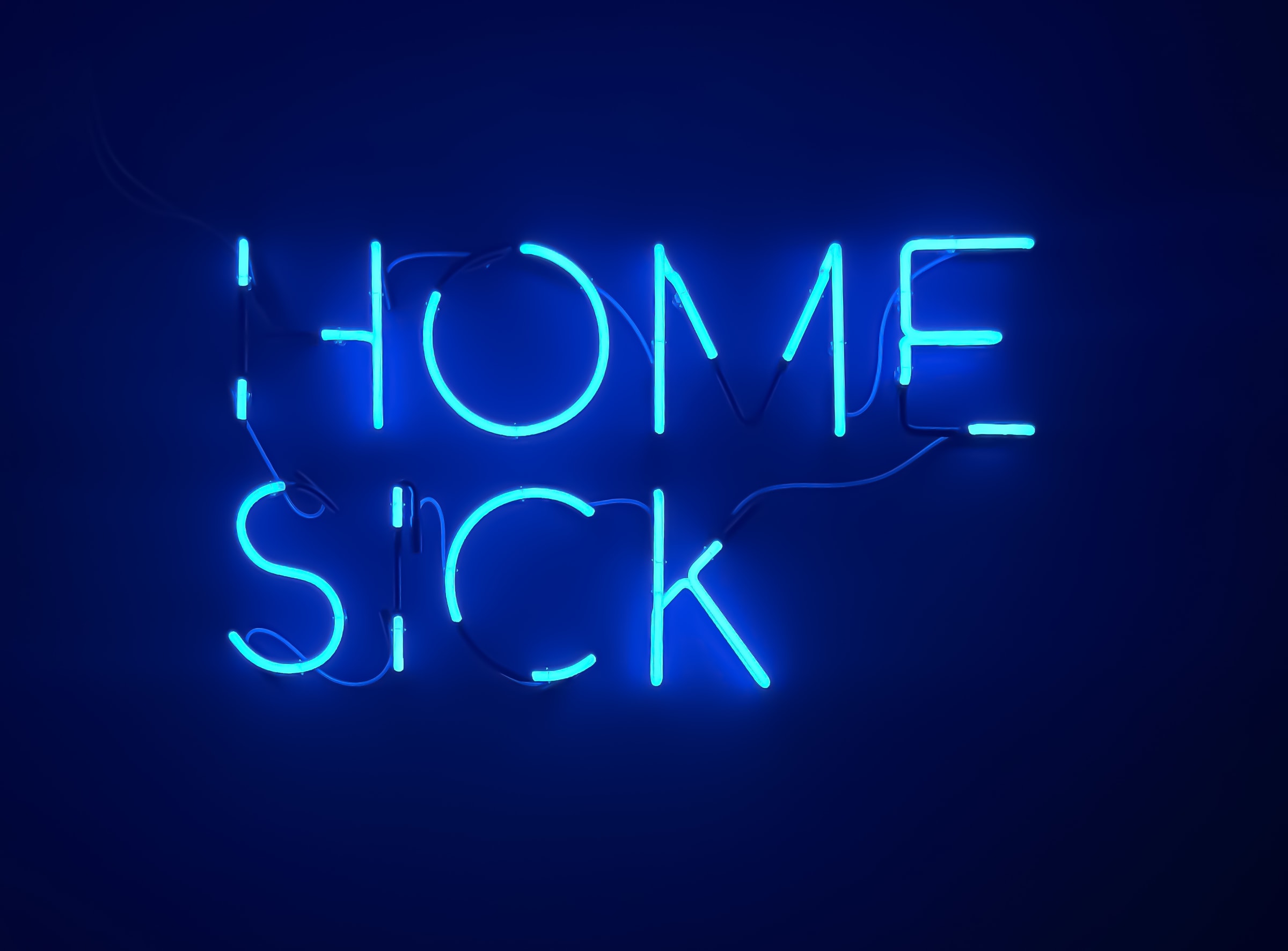 Yael Bartana, HOMESICK, 2025