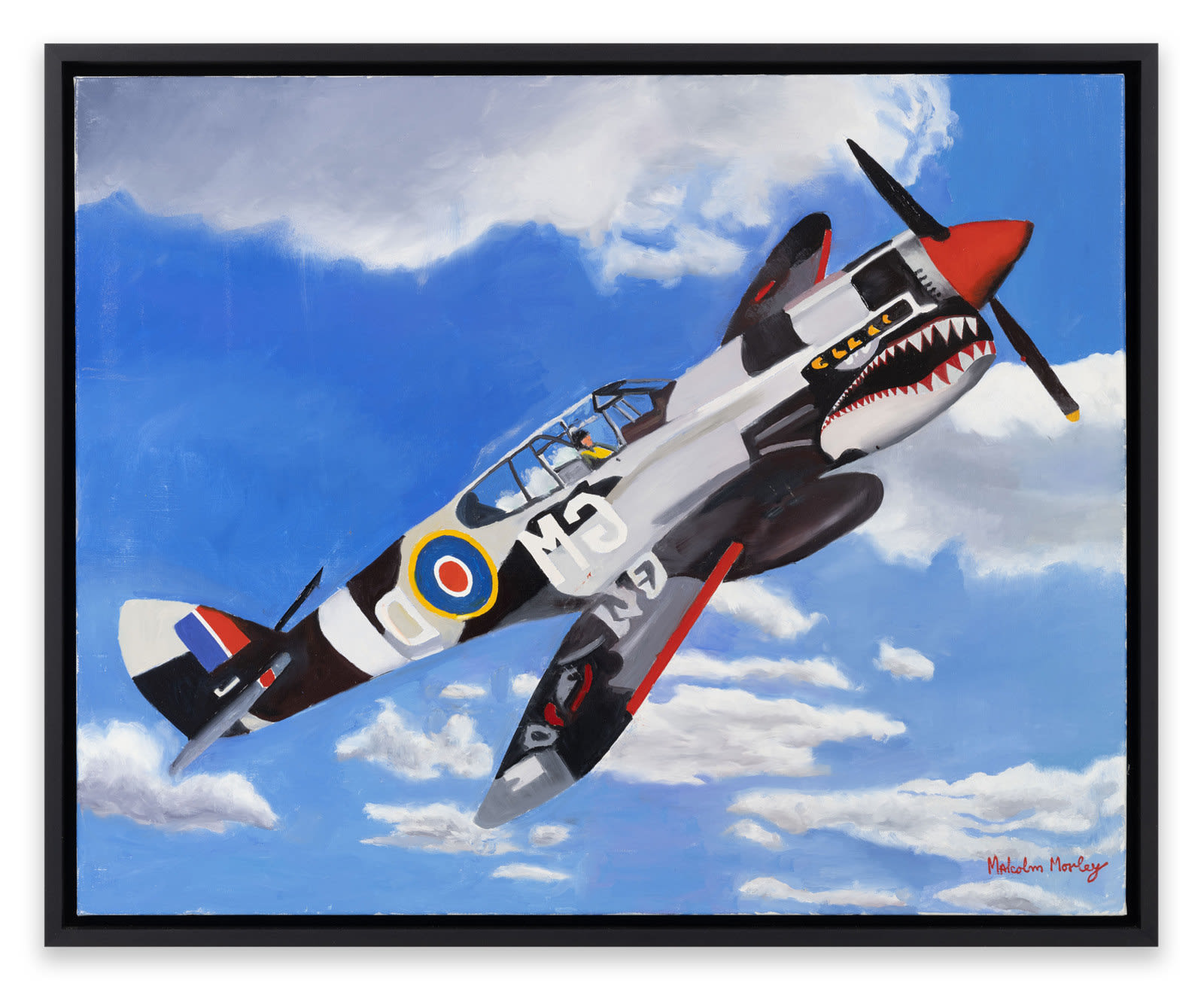Malcolm Morley, P-40 Warhawk Soaring, 2013