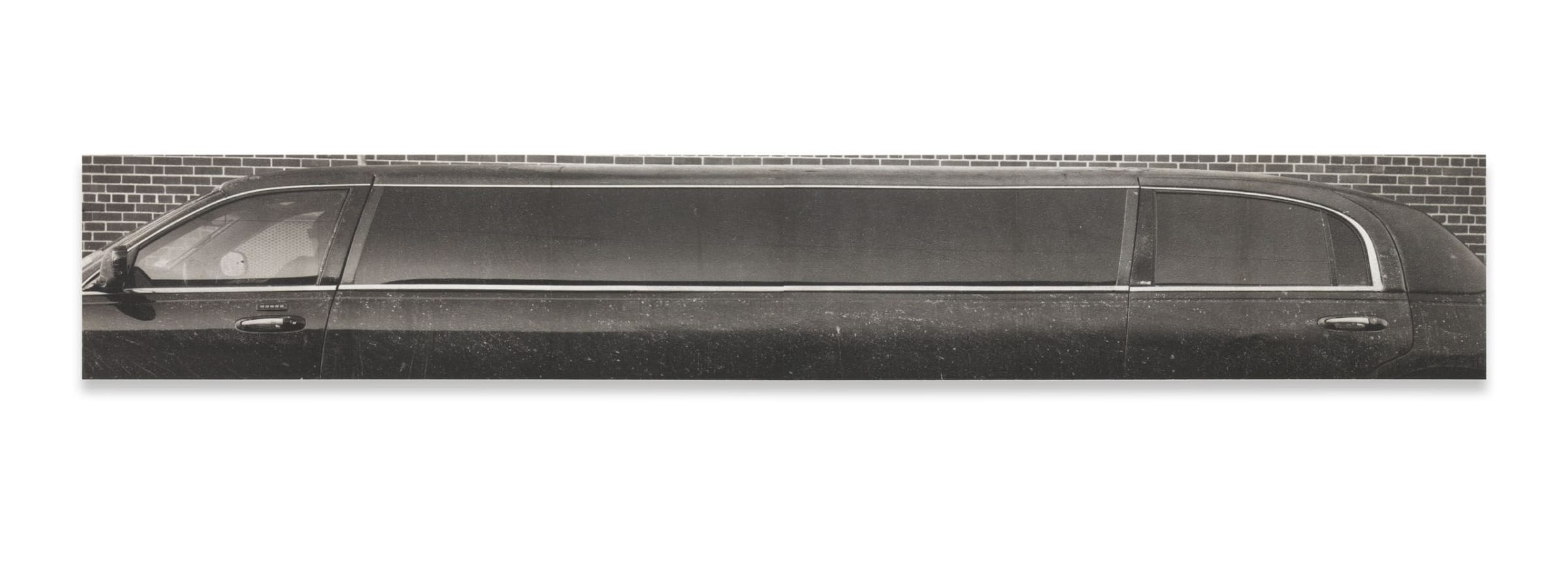 Adam McEwen Big Mike, 2014 Inkjet print on cellulose sponge 522 x 83.8 cm 205.5 x 33 inches