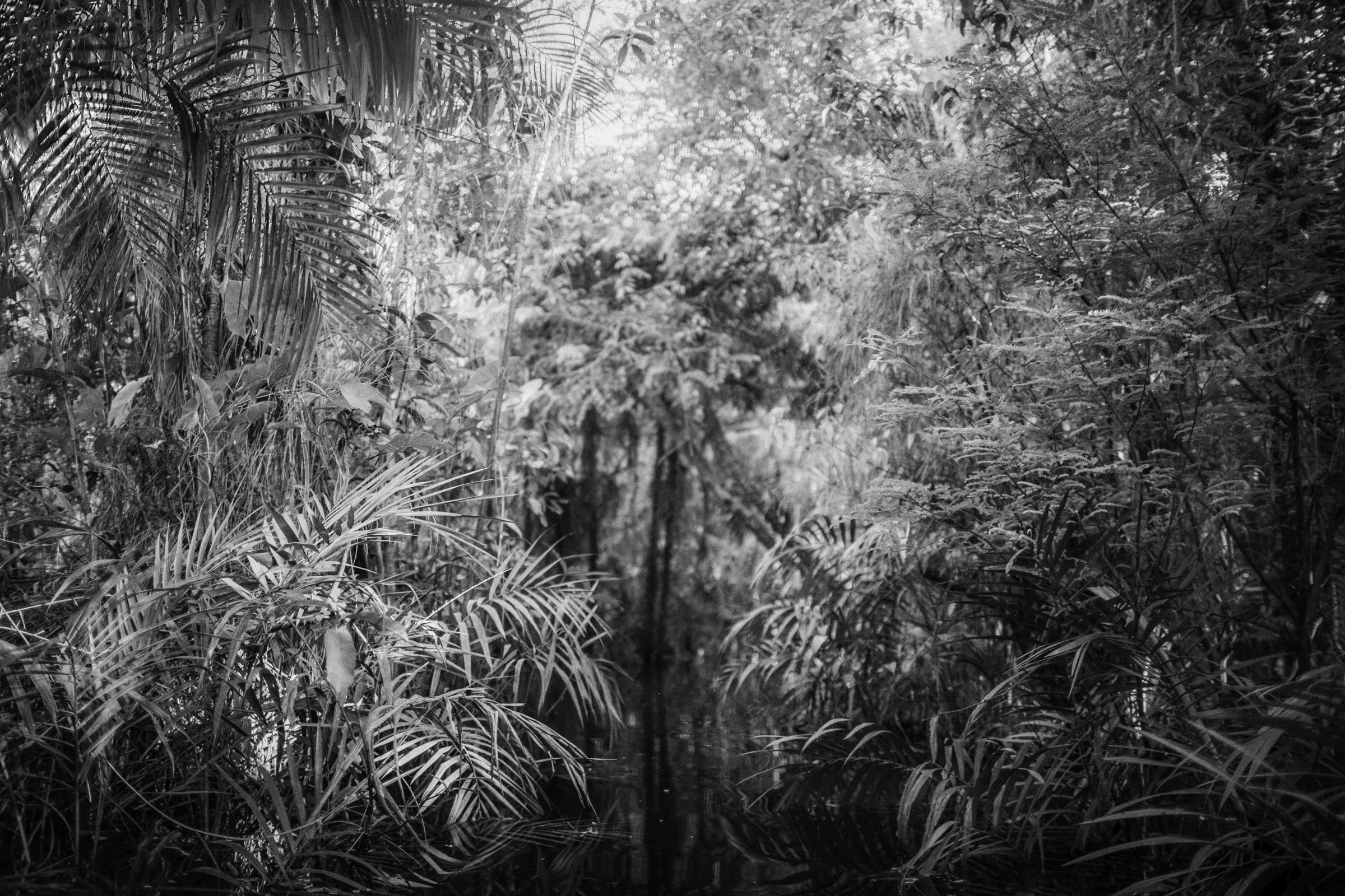 Yael Bartana Pardes (II), 2015 b/w fine art print Framed dimensions: 37.8 x 53.5 inches 96 x 136 cm Image size: 31.5 x 47.2 inches 80 x 120 cm Edition of 5, 2