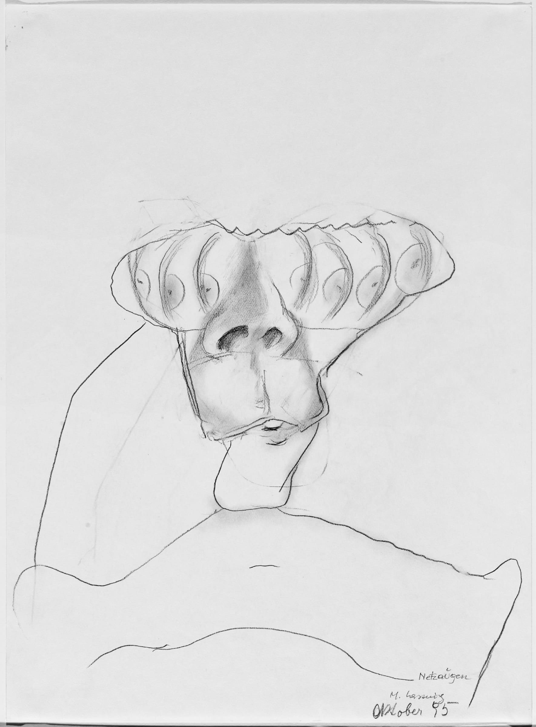 Maria Lassnig Netzaugen, 1995 Pencil on paper Image Dimensions: 59.9 x 44.2 cm 23.6 x 17.4 inches Framed Dimensions: 77.4 x 60.5 x 4 cm 30.5 x 23.8 x 1.6 inches