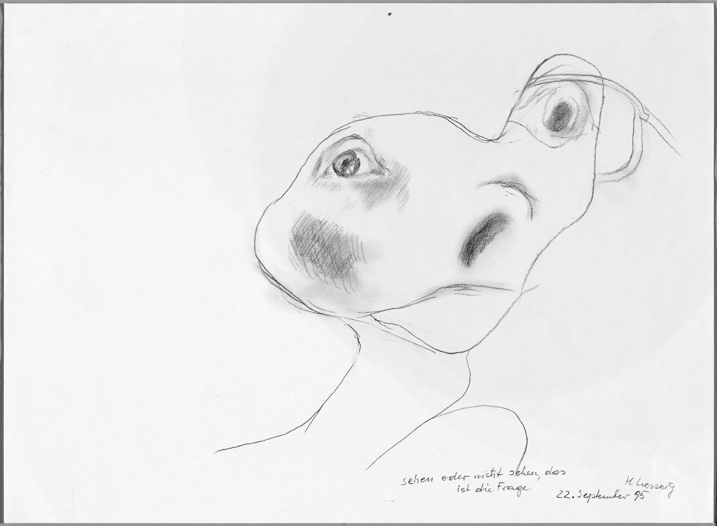 Maria Lassnig Sehen oder nicht sehen, das ist die Frage, 1995 Pencil on paper Image Dimensions: 44.1 x 60 cm 17.4 x 23.6 inches Framed Dimensions: 60 x 77 x 4 cm 23.6 x 30.3 x 1.6 inches