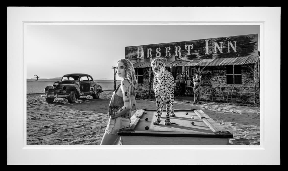 David Yarrow, Rack 'em Up, 2024 CasterlineGoodman Gallery