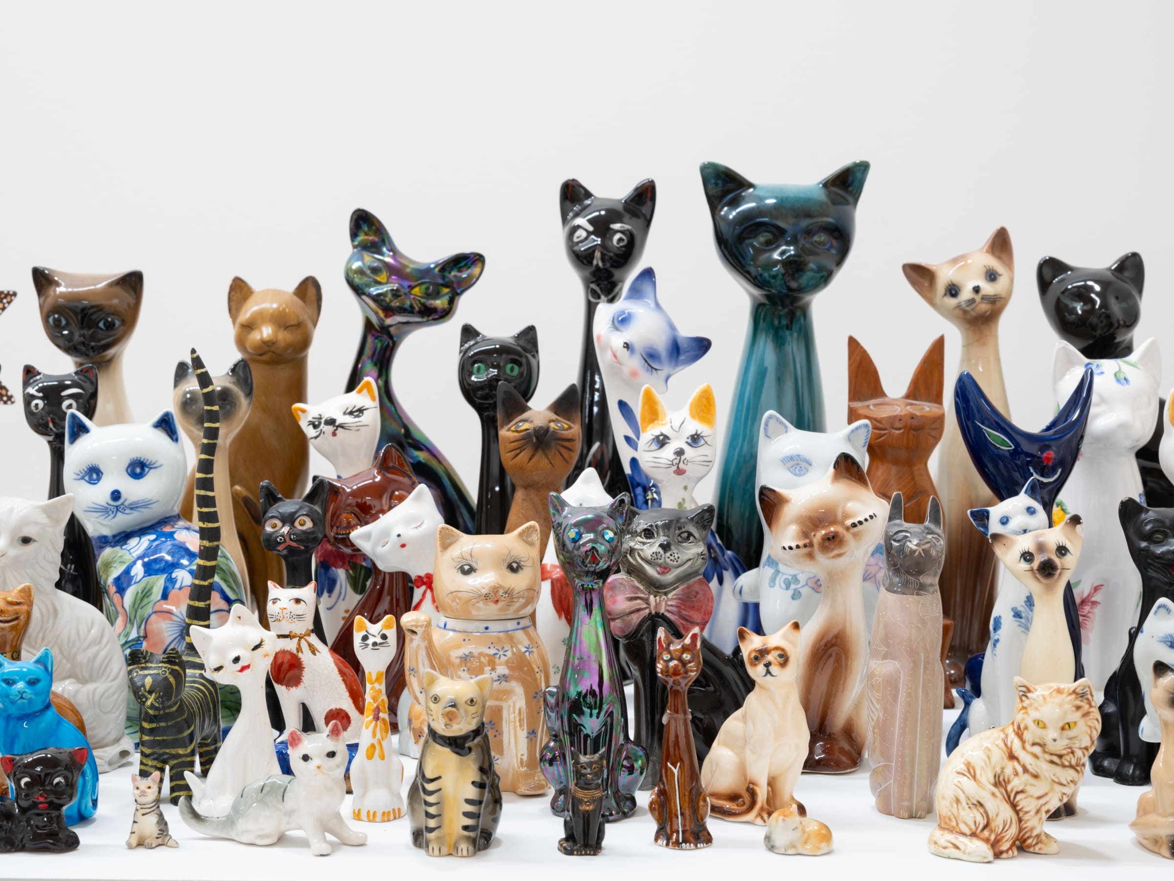 Andy Holden, Cat-tharsis, 2021 - 2022 | Charles Moffett