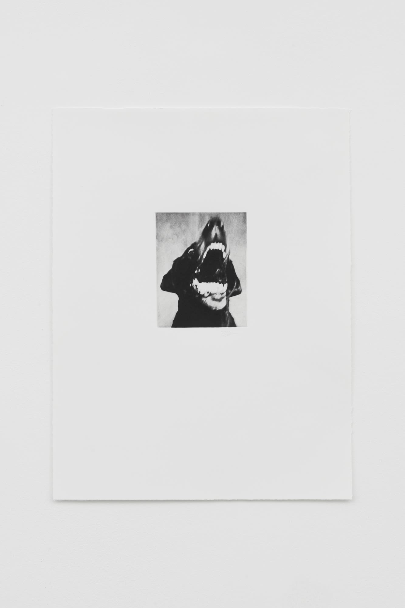 サイン付未開封 Jack Davison Photographs 特別版