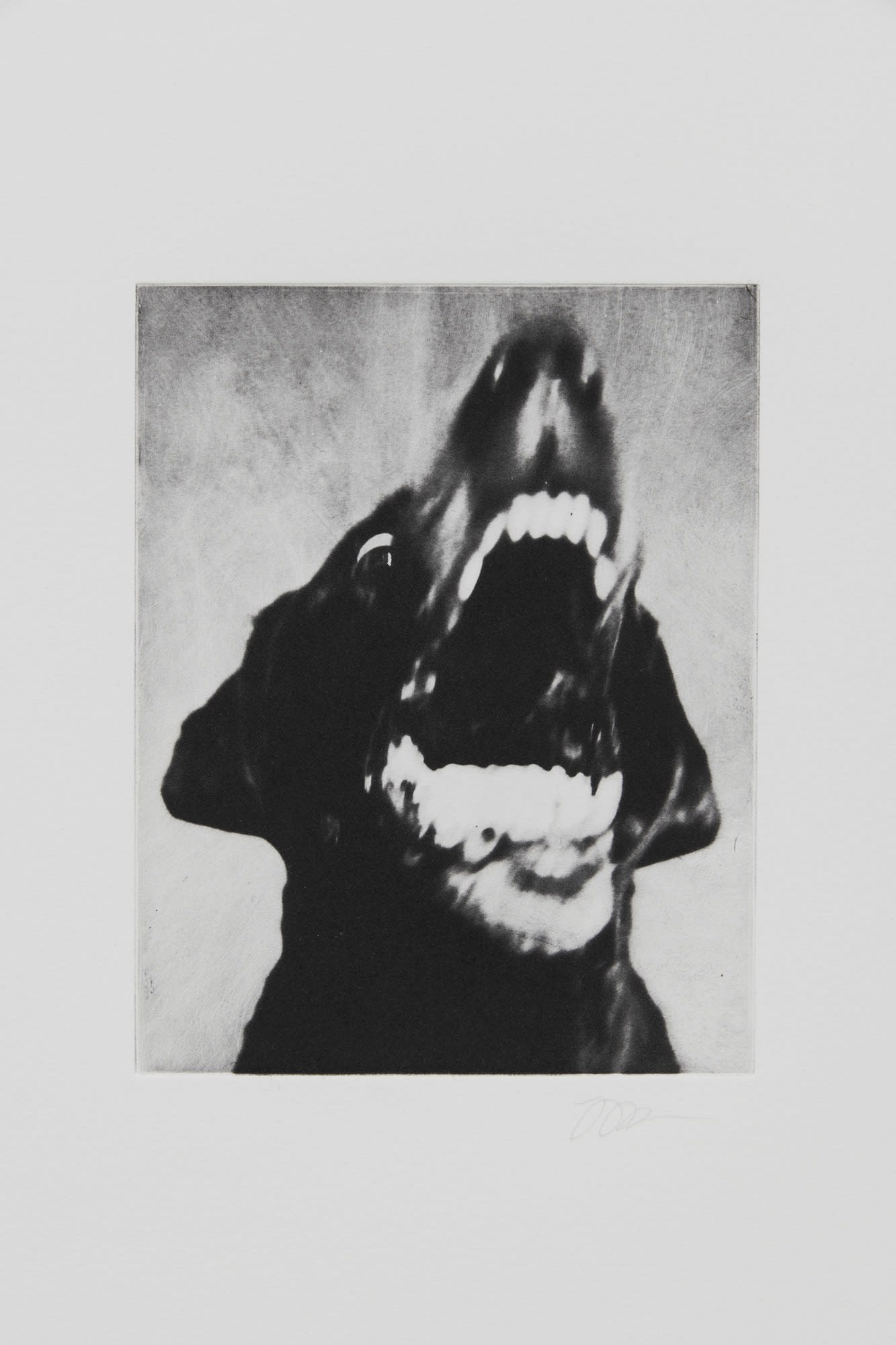 Jack Davison, Untitled, 2022 | Cob Gallery