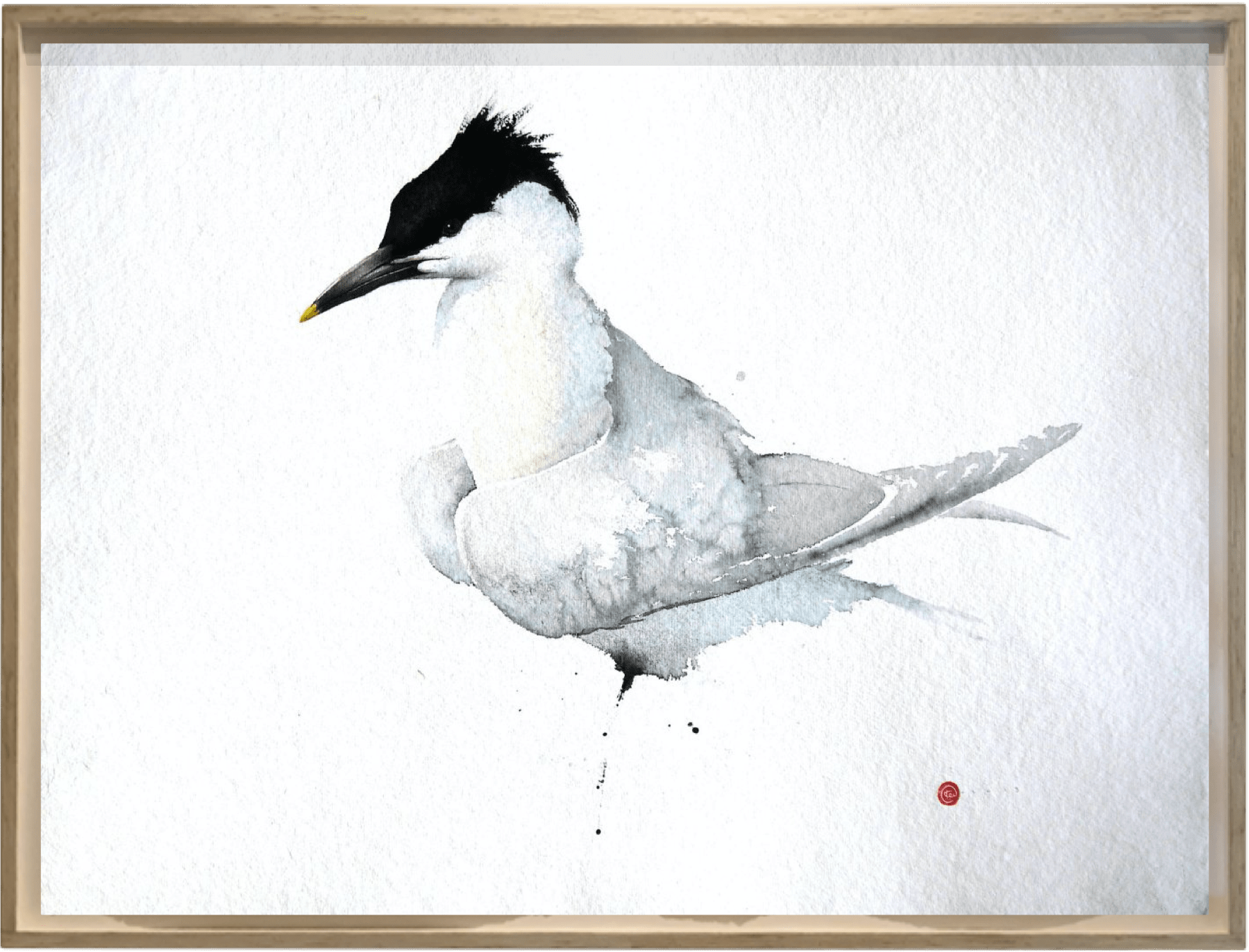 Karl Martens, Sandwich Tern (Hungerford Gallery) | Cricket Fine Art
