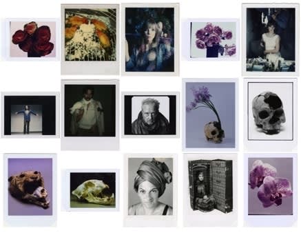 David Bailey, Bailey's Polaroids, c. 1972 - 2014 | Dellasposa