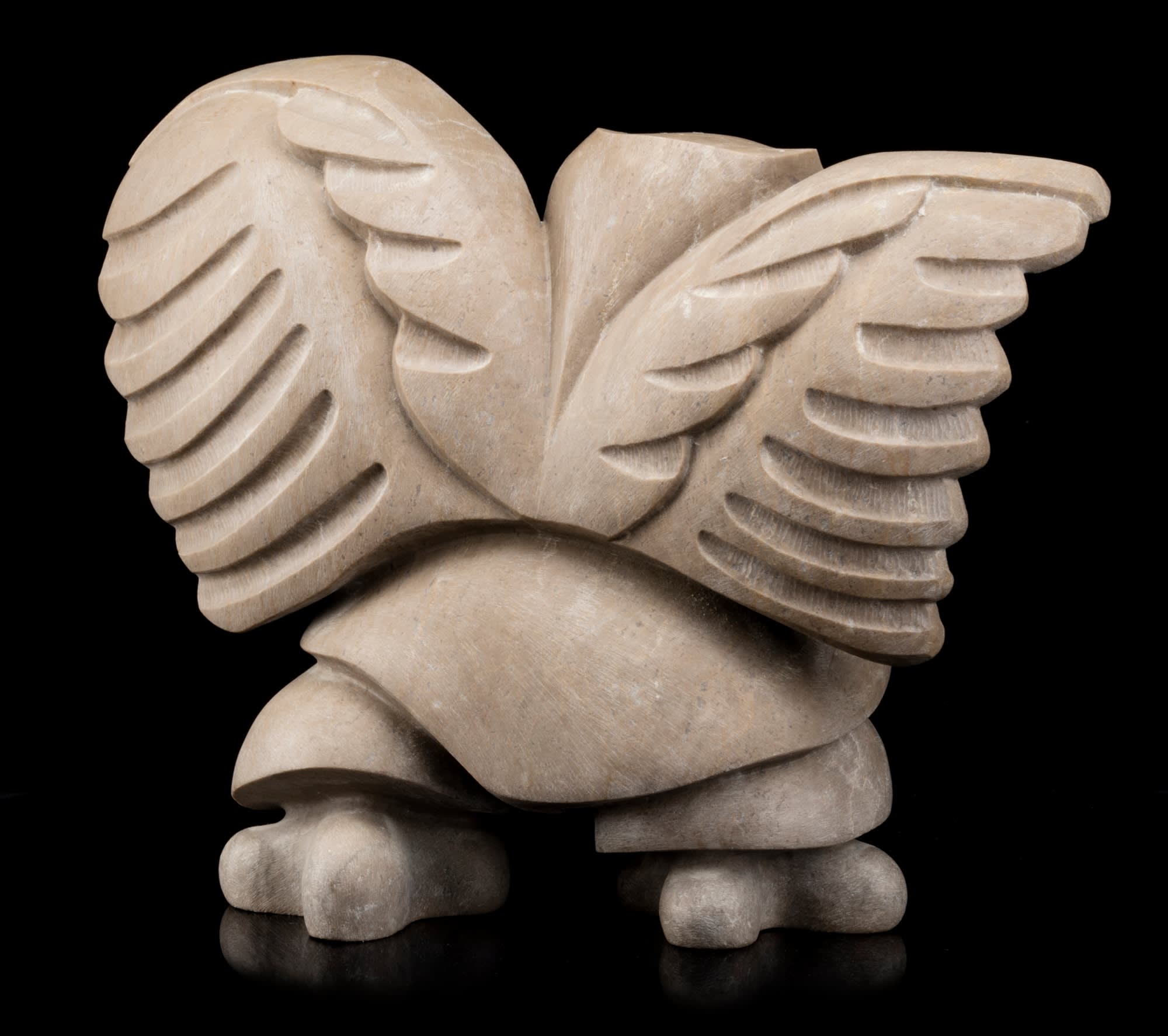 Pasalidognathus modestus 69mm 62mm Pasalidognathus modestus 69mm