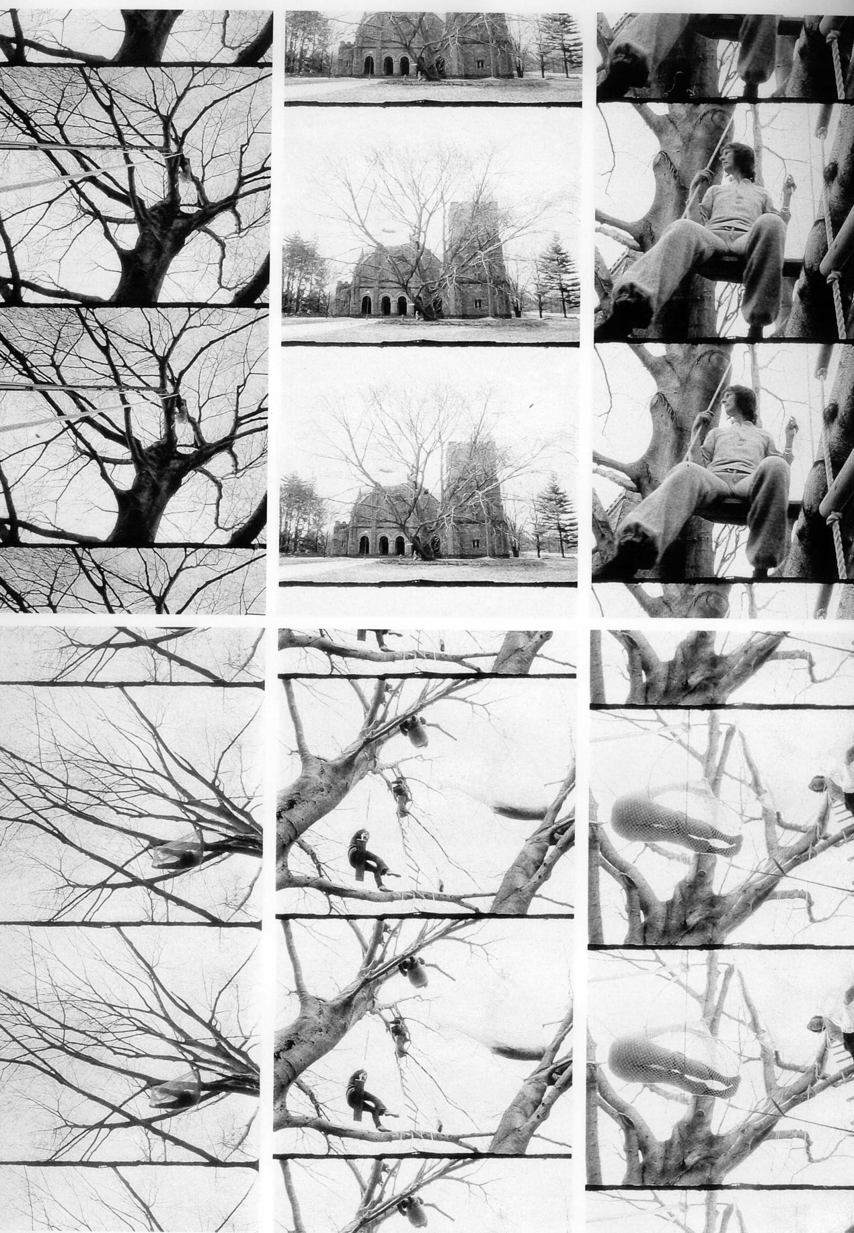 Gordon Matta-Clark, Tree Dance, 1971 | Galerie Thomas Schulte