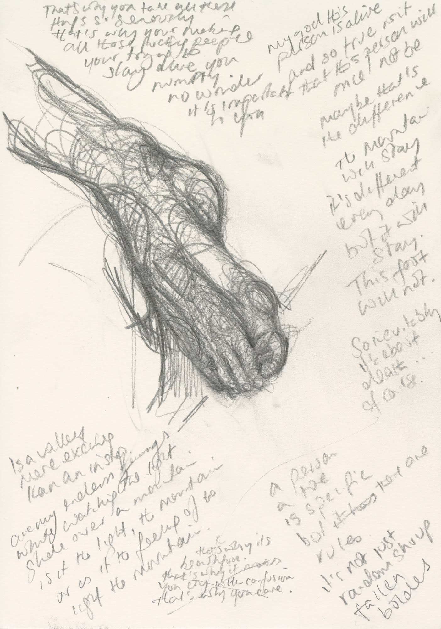 Carol Peace, Is a valley more exciting than an instep?, 2025 | Gallery