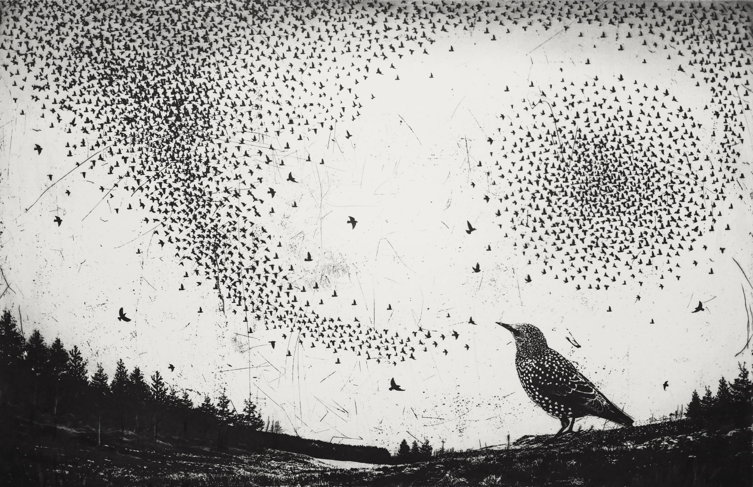 Fill the air. 1touch Murmuration (Demo). Artistic Etching on Metal.