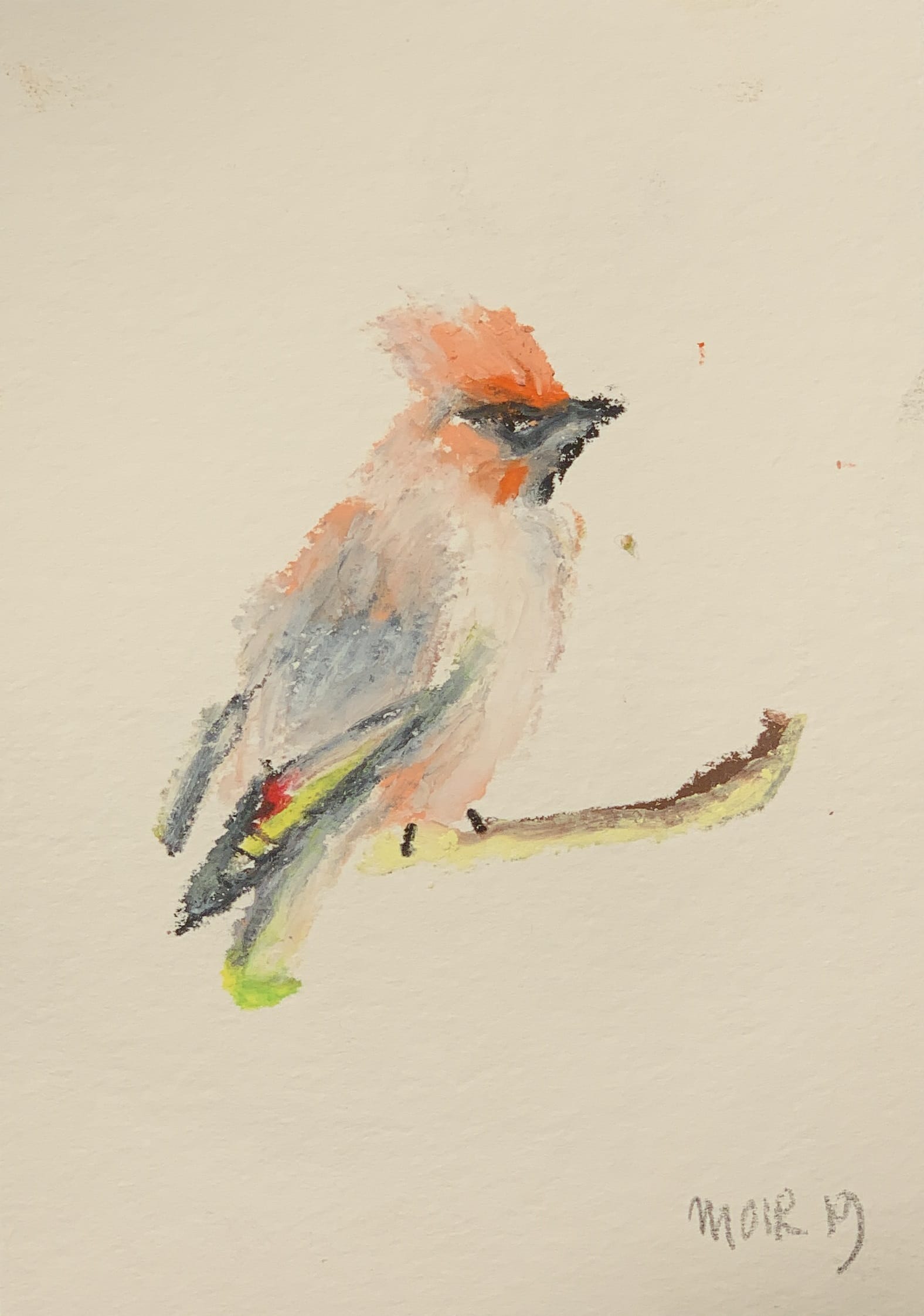Jim Moir Bird 2019 Grosvenor Gallery