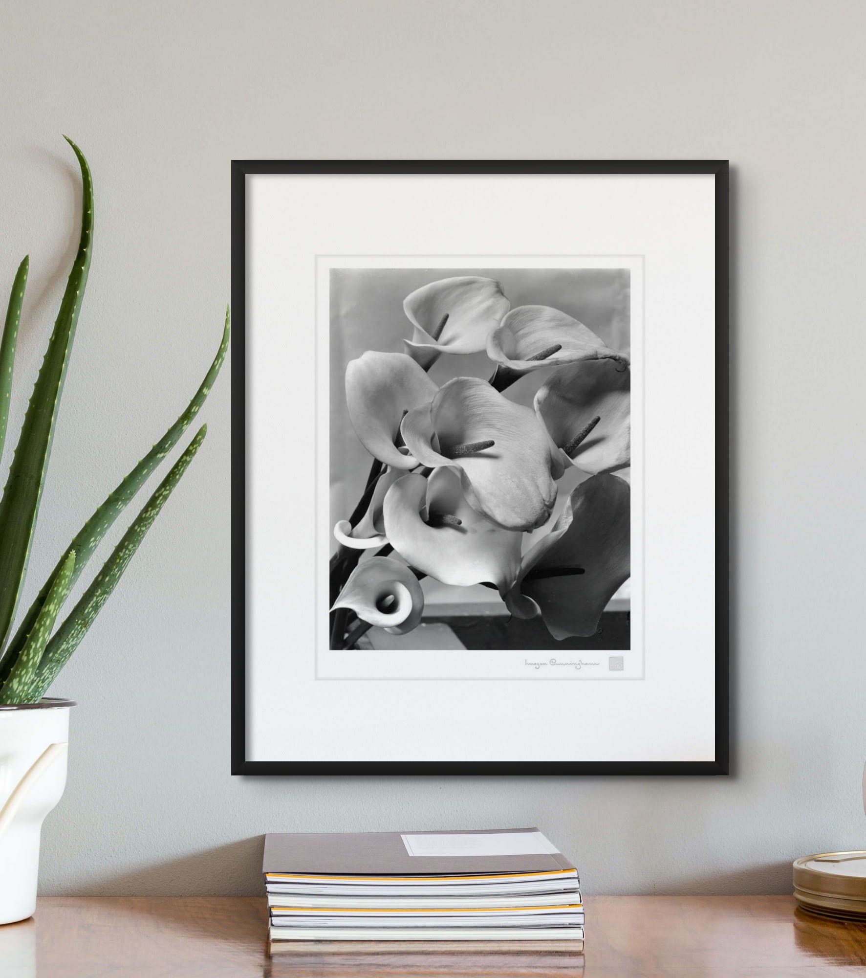 Imogen Cunningham, Callas, about 1925 | Imogen Cunningham