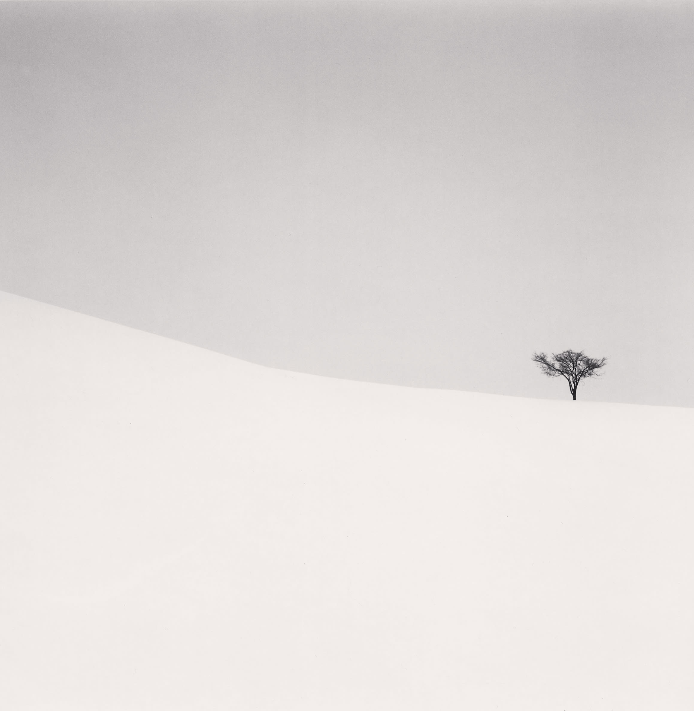 Michael Kenna, Single Tree, Mita, Hokkaido, Japan, 2007 | Ira Stehmann