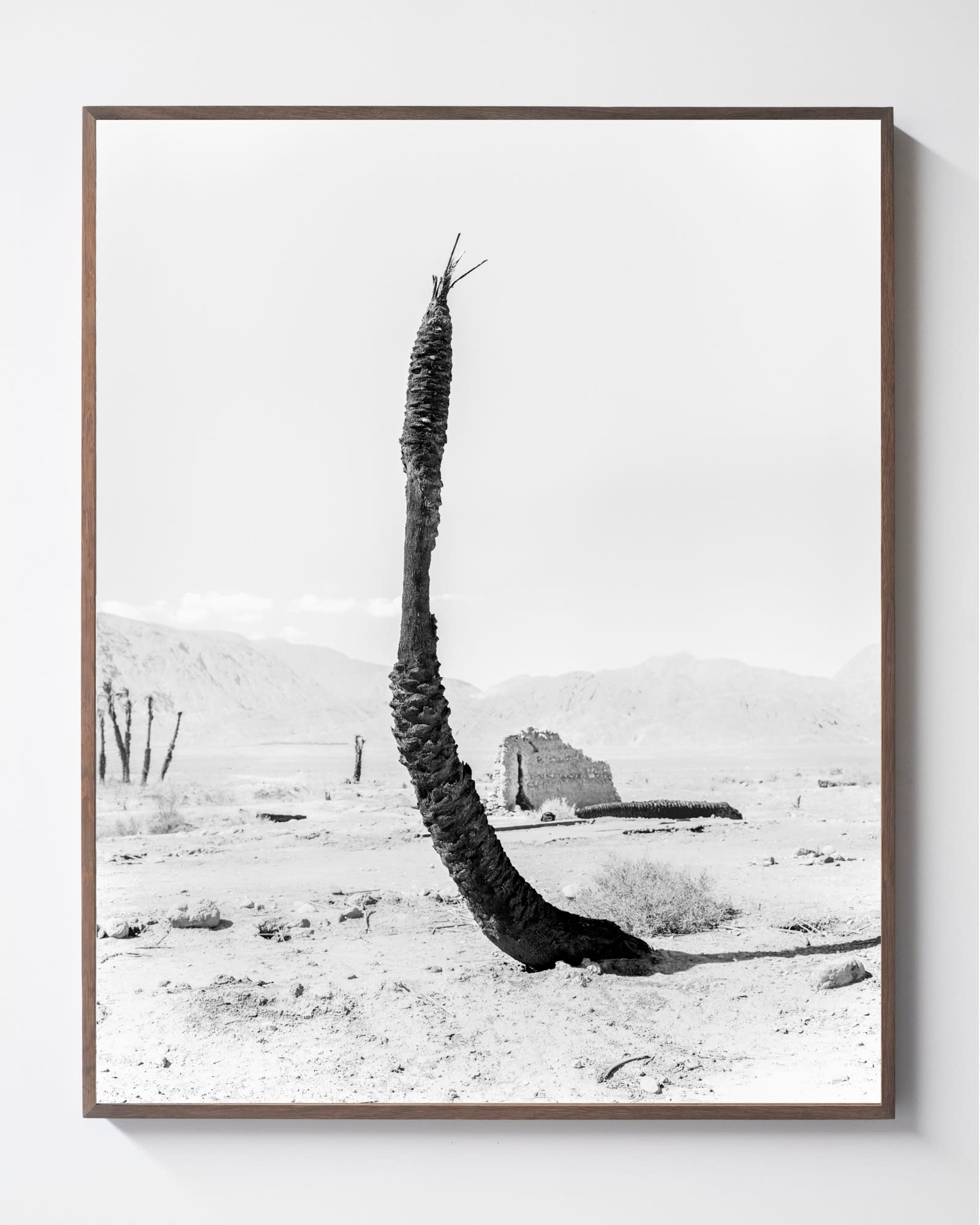SYBREN VANIVERBERGHE 写真集　モノクロ Sybren Vanoverberghe | KETELEER GALLERY