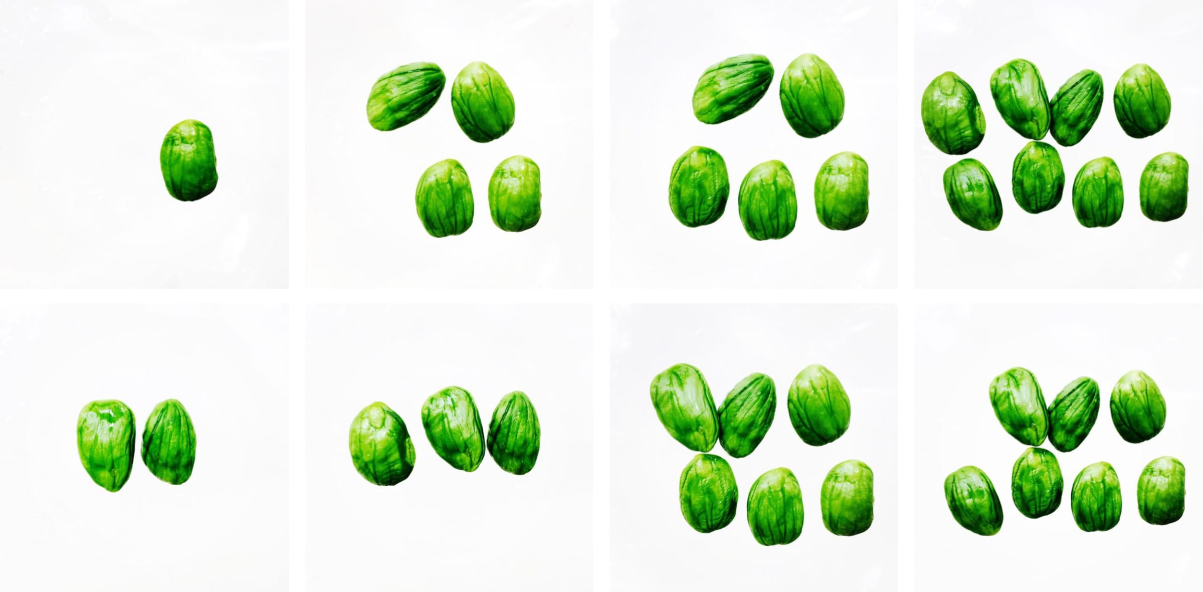 A Straightforward Guide to Bean Counting, Parkia speciosa (Petai), 2020