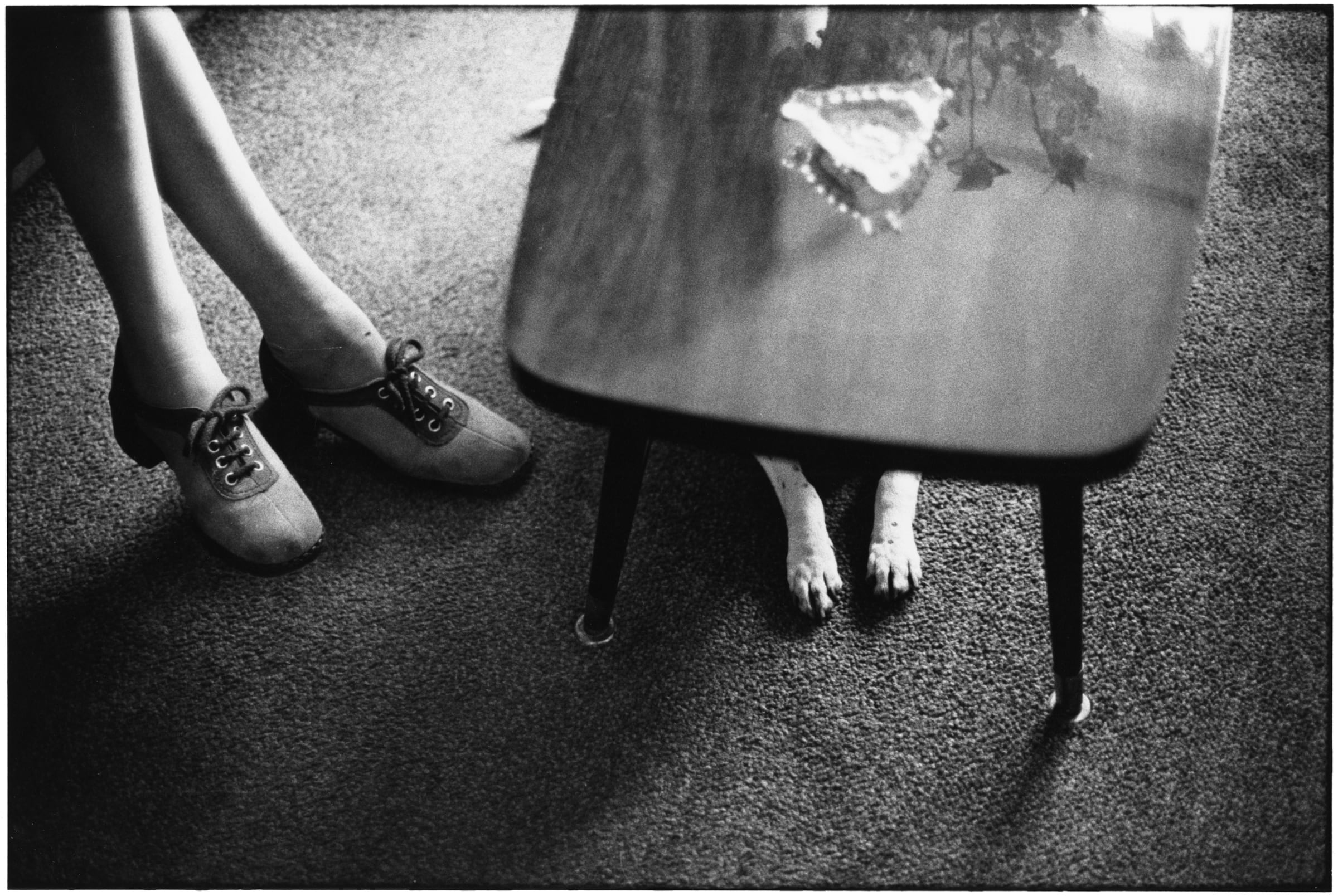 洋書 ELIOTT ERWITT FOTOGRAFIE ELLIOTT ERWITT (* 1928) Paris, 1989 | AI_14_33272