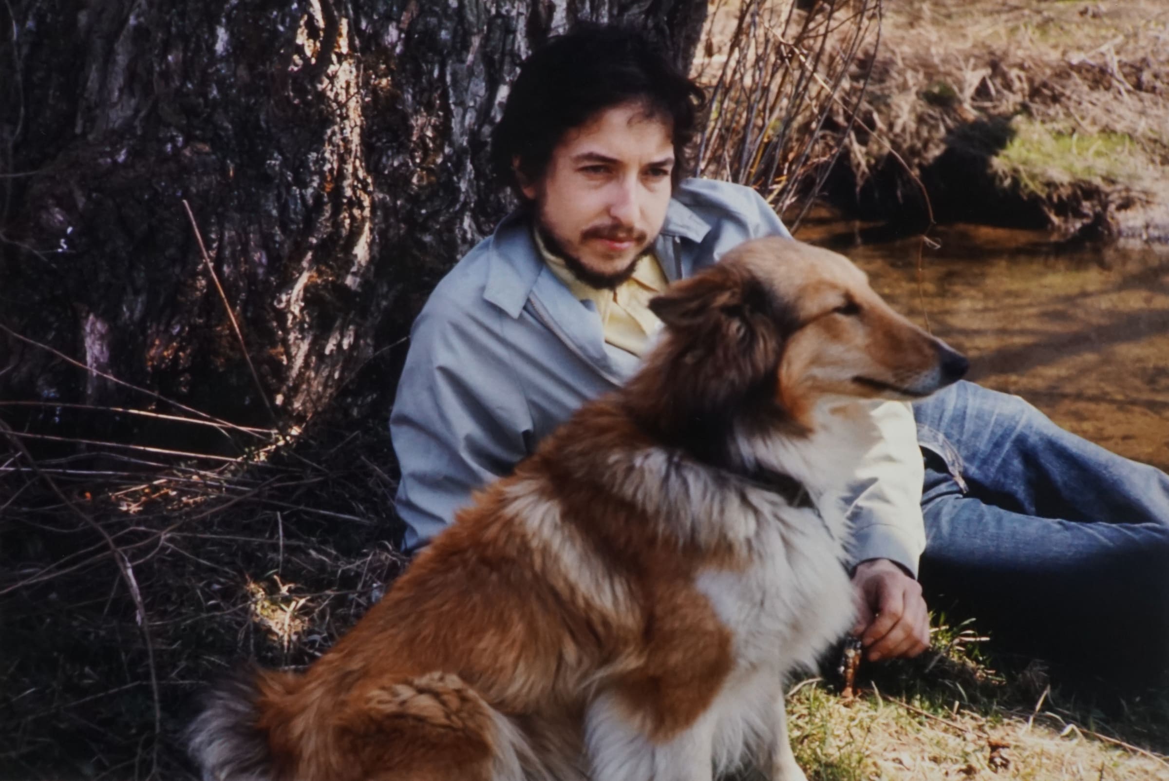 John Cohen Bob Dylan Lying Under Tree with Dog 1970 printed 2023 Peter Fetterman Gallery