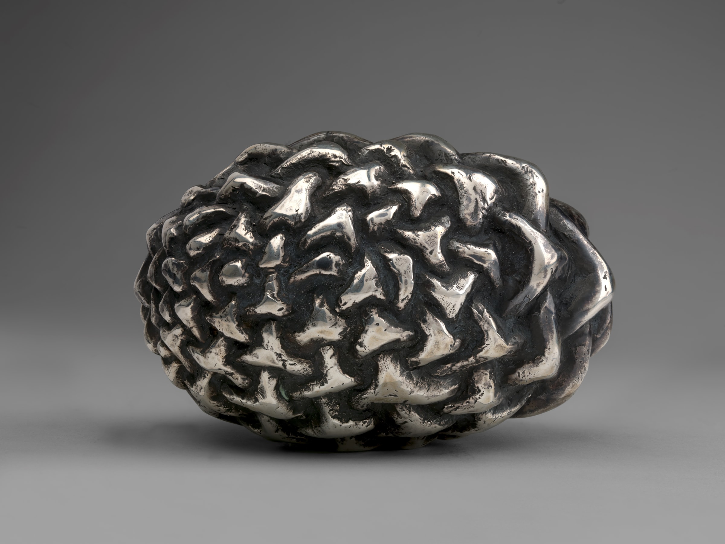 Peter Randall-Page, Little Nut Tree Seed, 2002 | Portland