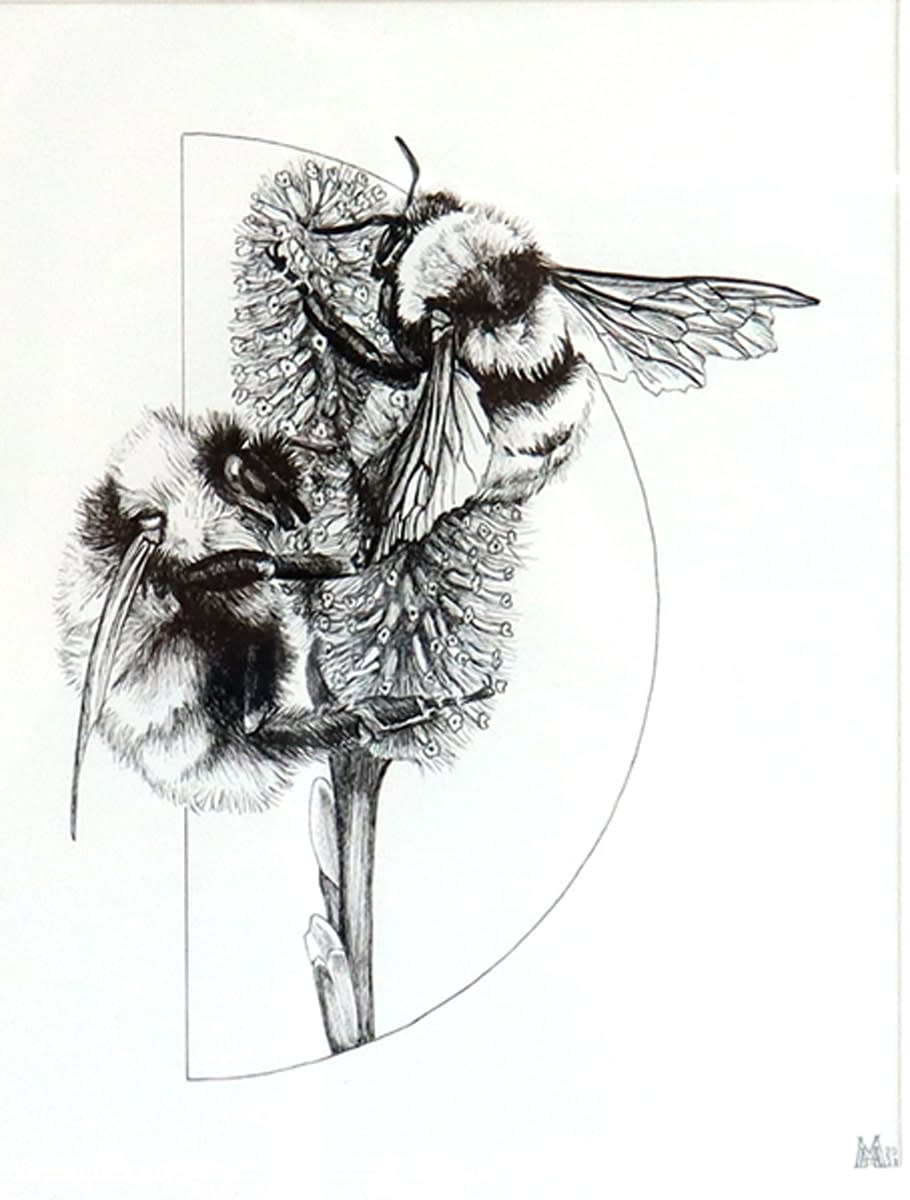 Megan Martens Haworth Arctic Bumblebee 2023 Radius Gallery Radiusgallery Megan Martens Haworth Arctic Bumblebee 2023