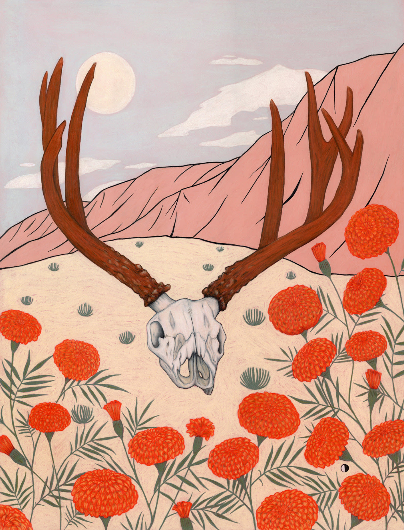 Kelsey Wickwire, Deer Skull + Marigolds, 2023 | Radius Gallery