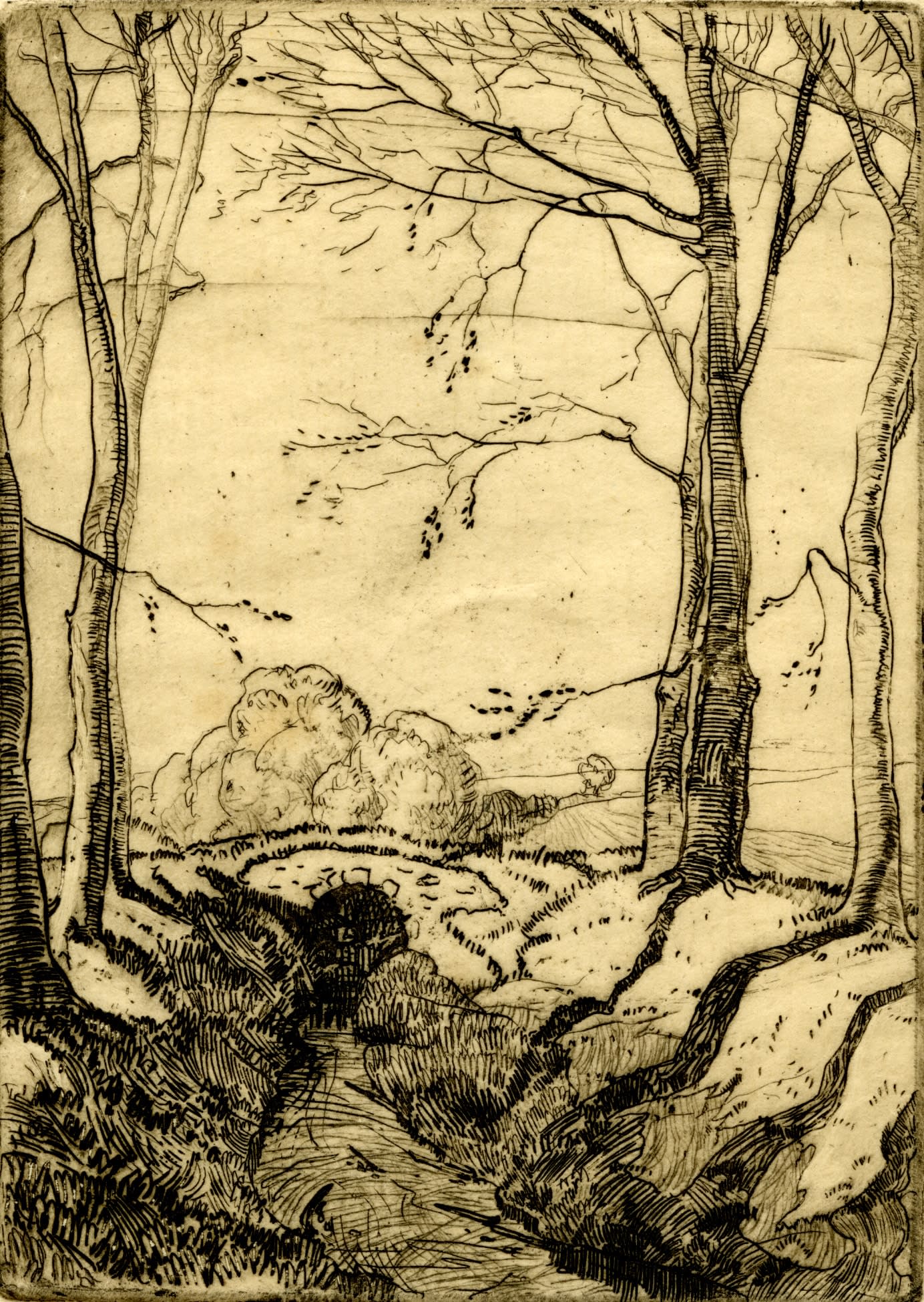 William Gillies RSA, Letham Burn Beeches, Haddington, 1922 | Royal ...