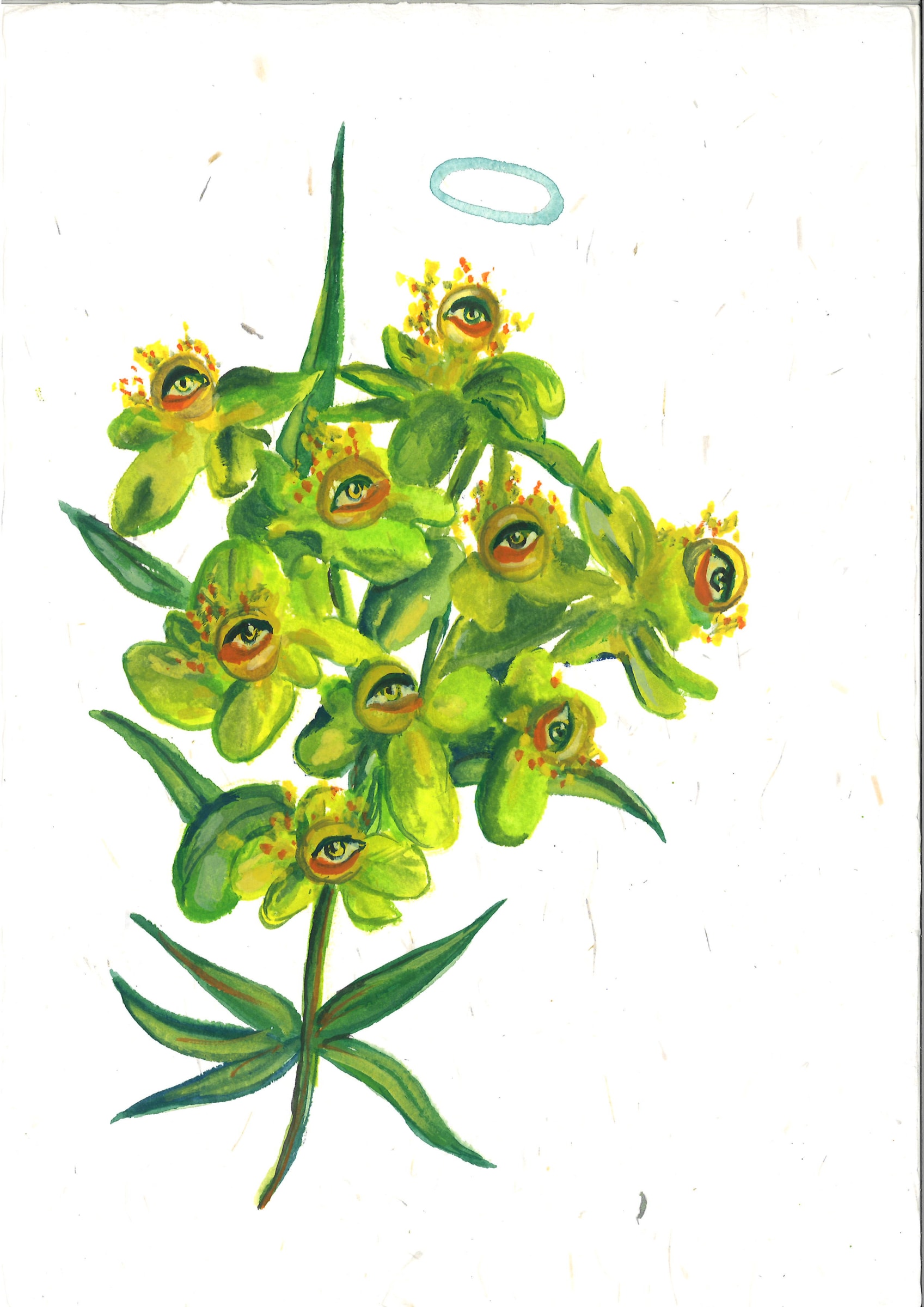 Alymamah Rashed, Mirrors from the Sidewalks (A Pilgrimage from Turkey