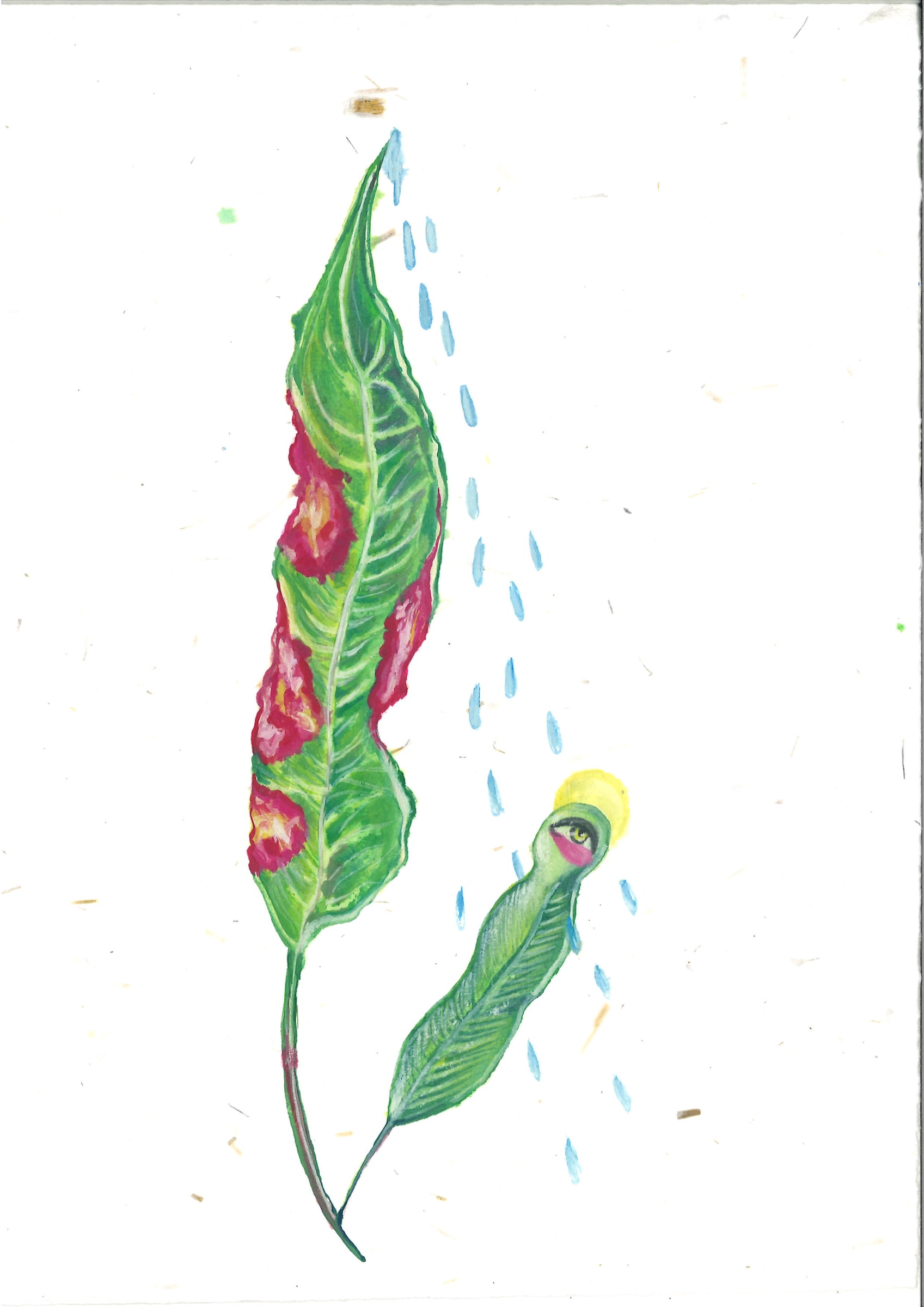 Alymamah Rashed, Mirrors from the Sidewalks (A Pilgrimage from Turkey