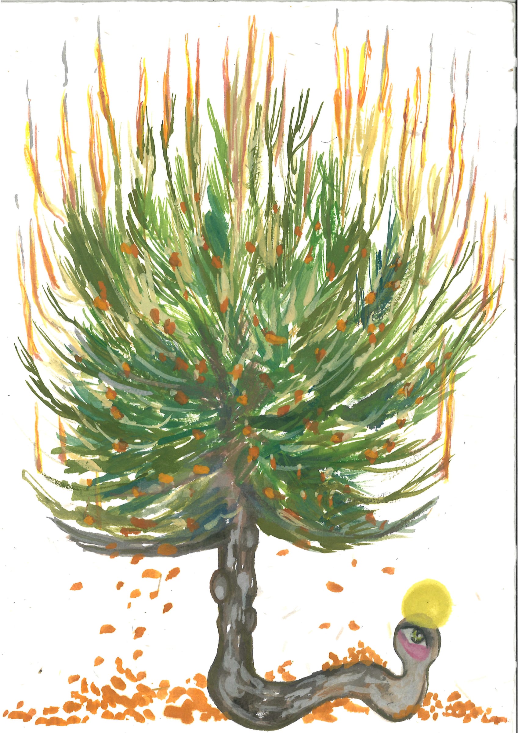 Alymamah Rashed, Mirrors from the Sidewalks (A Pilgrimage from Turkey