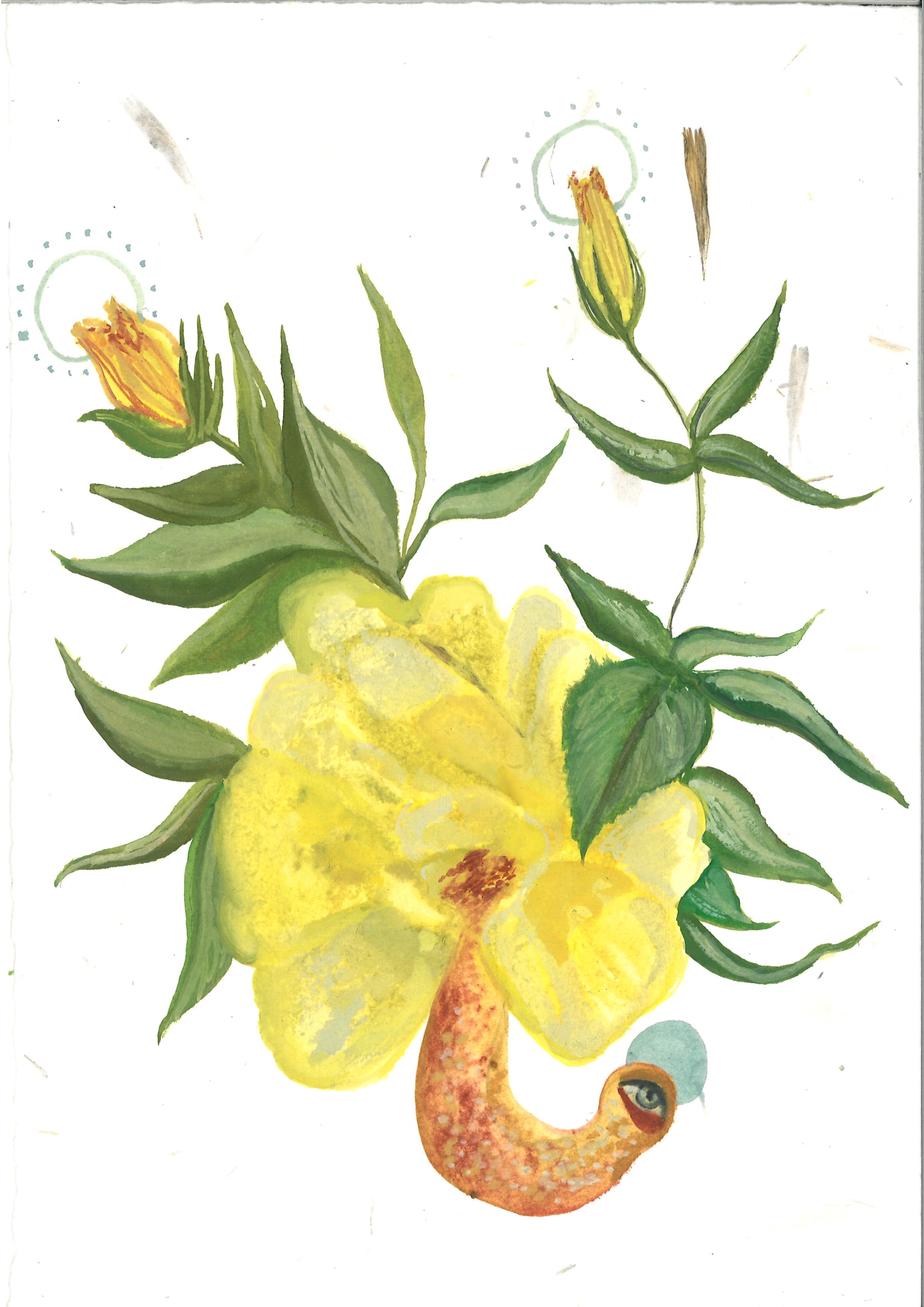 Alymamah Rashed, Mirrors from the Sidewalks (A Pilgrimage from Turkey