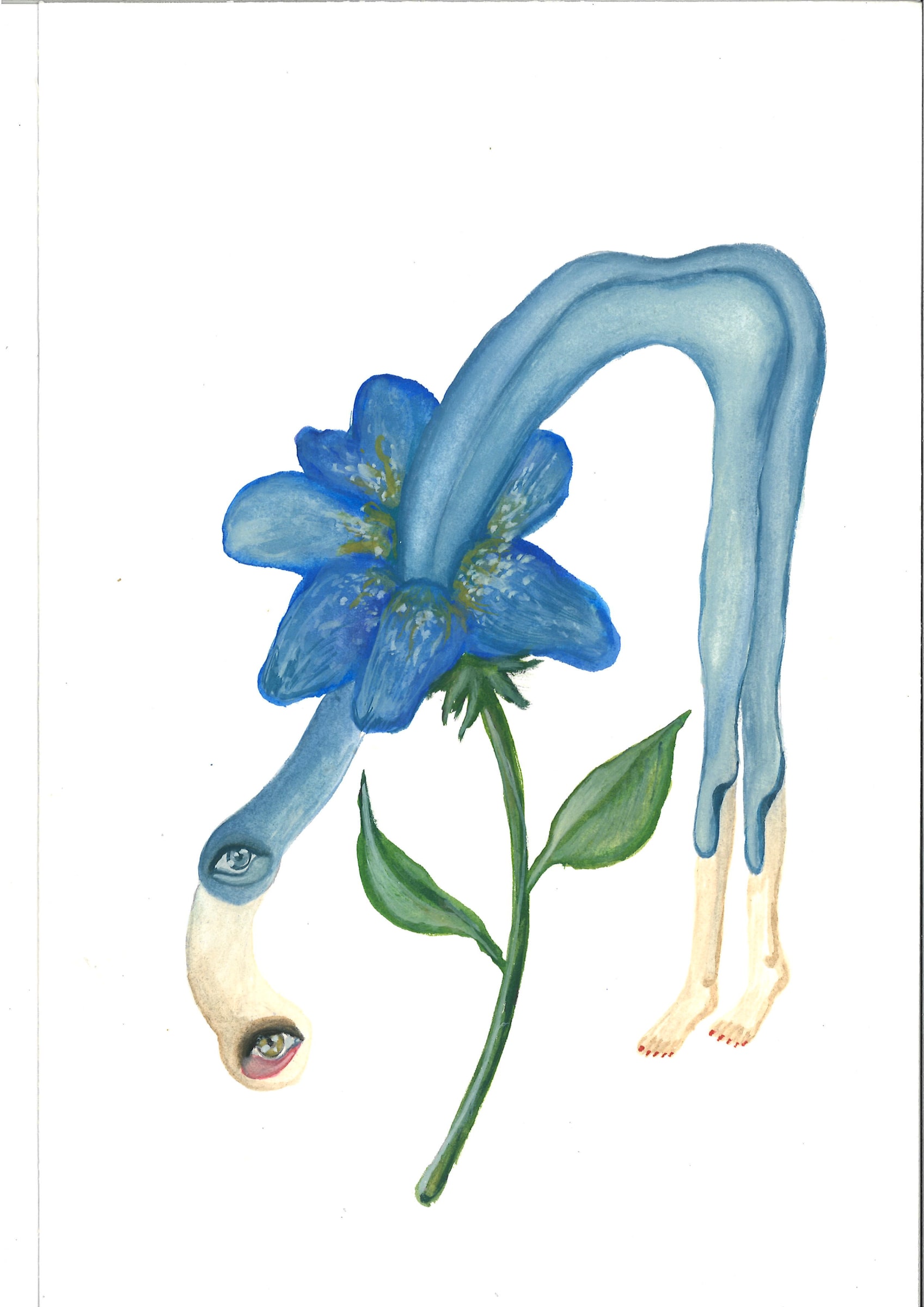 Alymamah Rashed, Mirrors from the Sidewalks (A Pilgrimage from Turkey