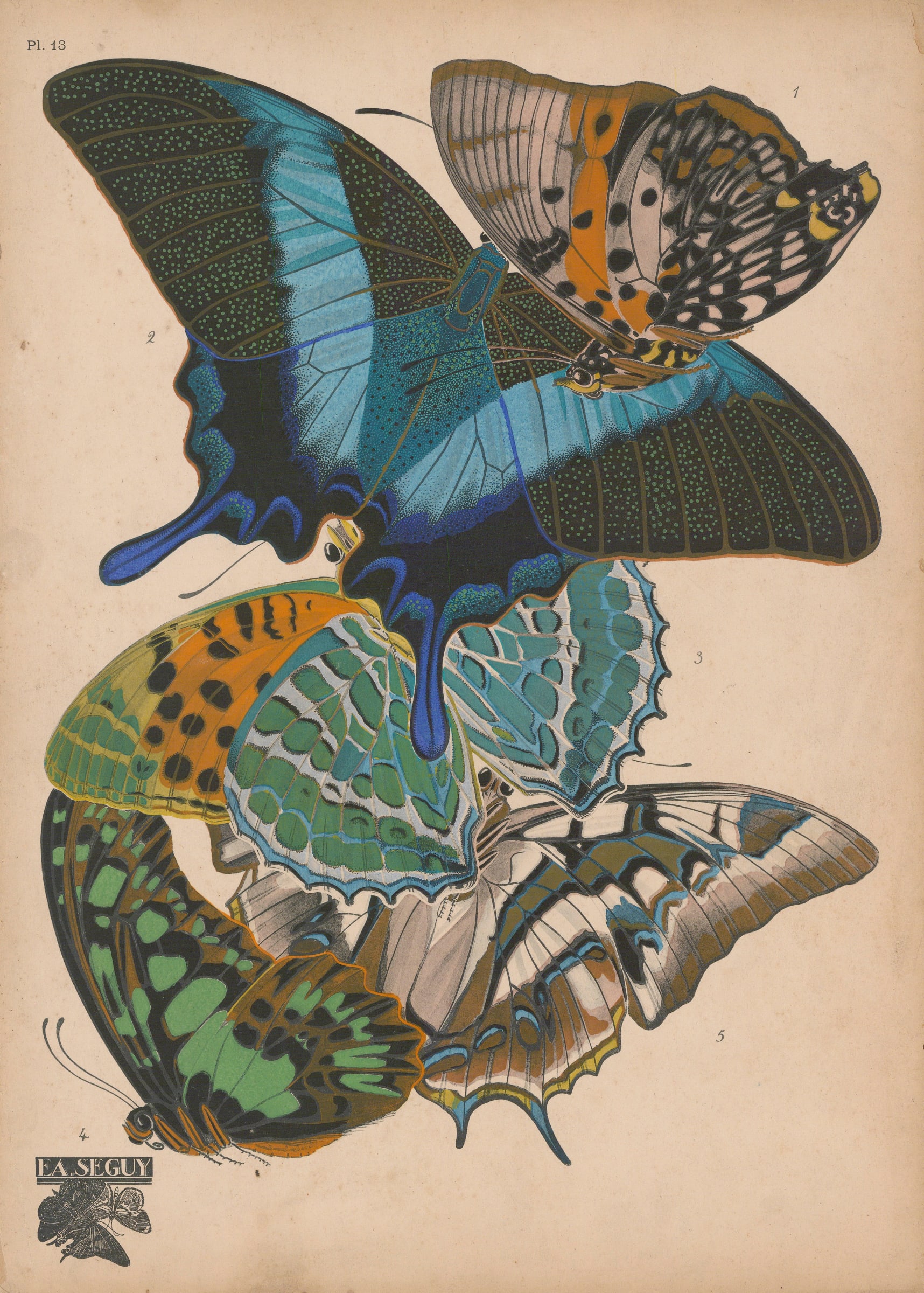 Émile-Alain Séguy, Insects - Butterflies (Papillons), 1924 | The Map House