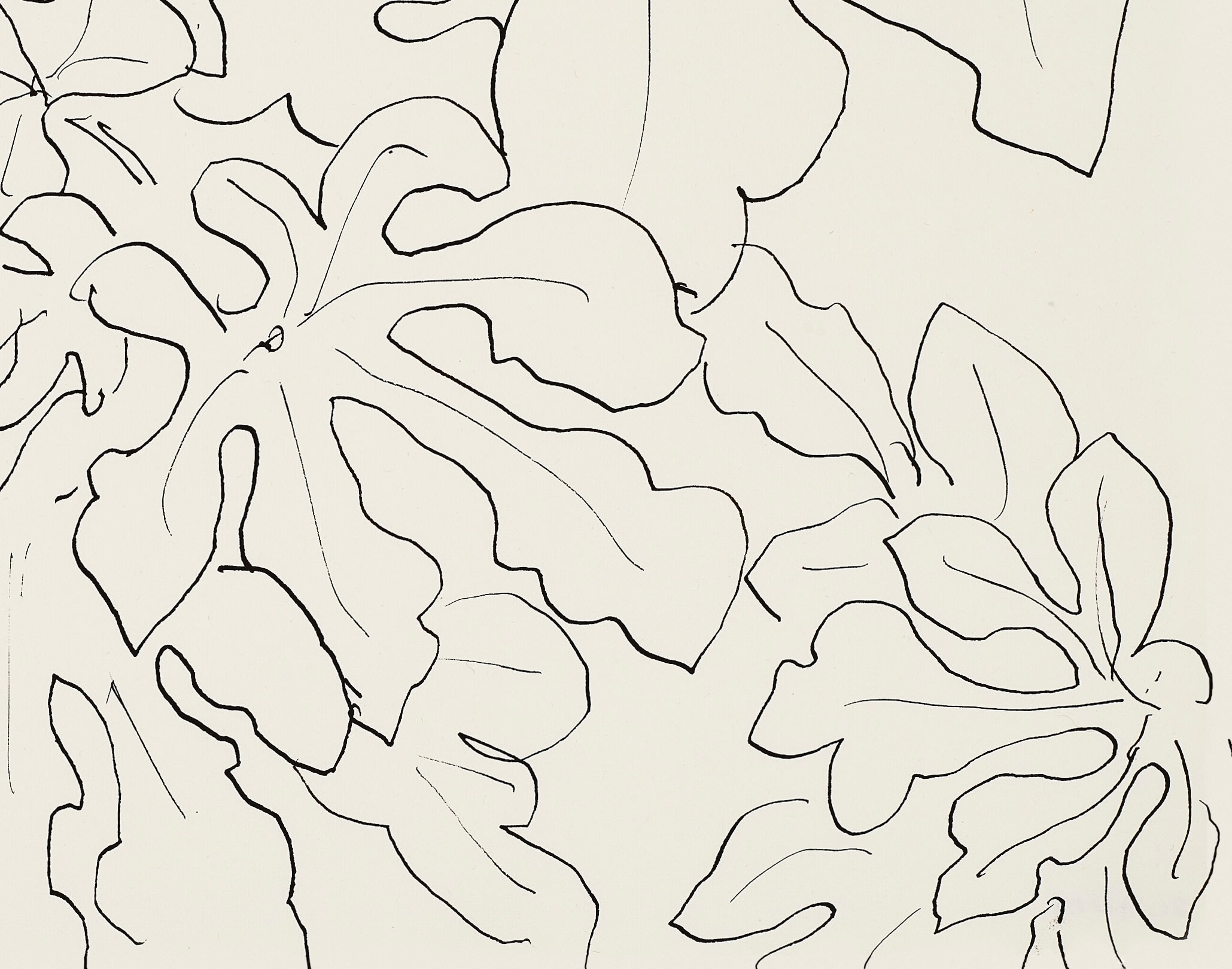 Henri Matisse, Feuillage d'un arbre, 1941 | Zeit Contemporary Art