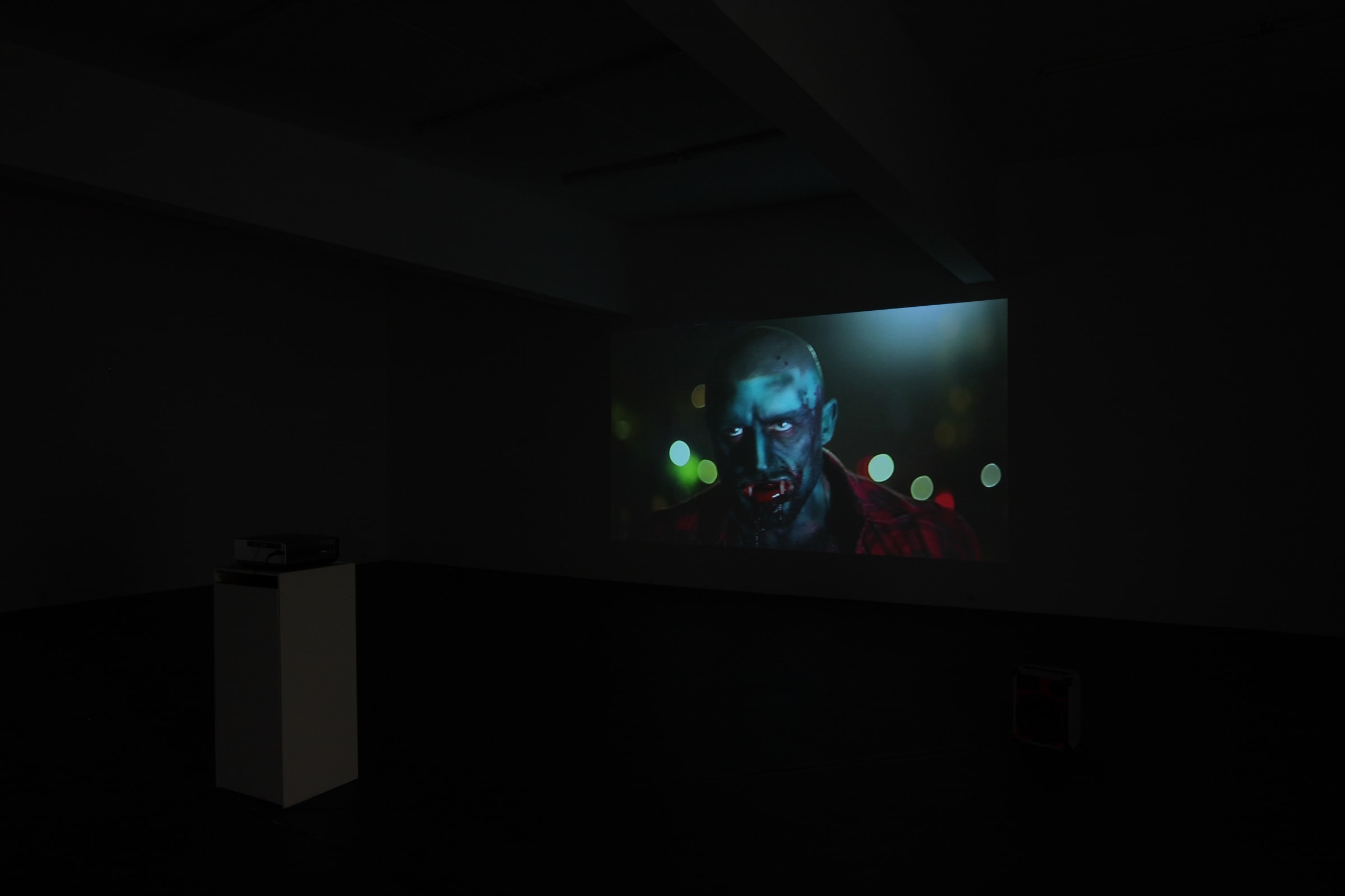 Bruce LaBruce LA Zombie: The Movie That Would Not Die Installation View January 30 – April 24, 2010 Peres Projects,...