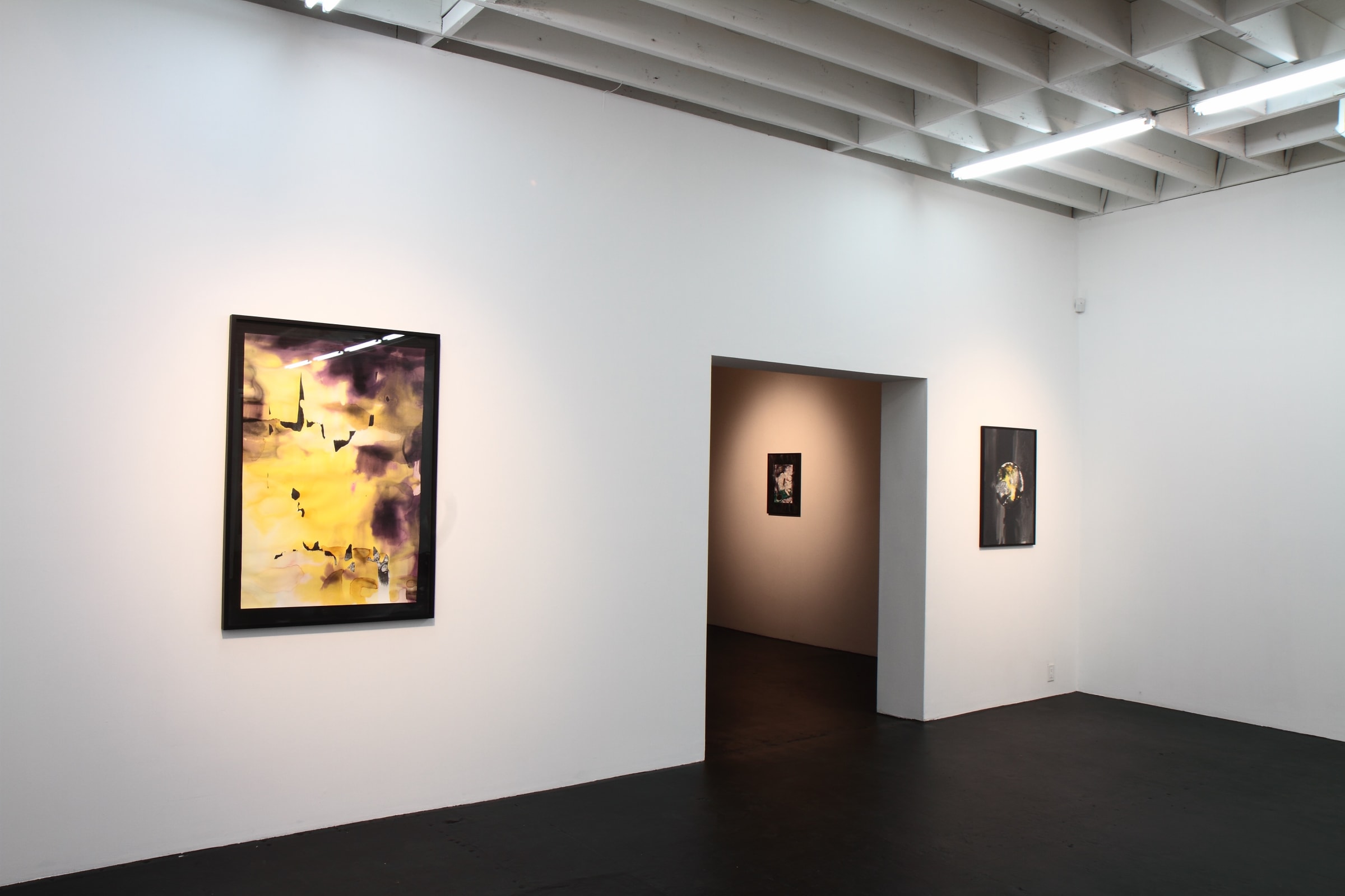 John Kleckner The Master Cleanser Installation View November 21 – December 19, 2009 Peres Projects, Los Angeles