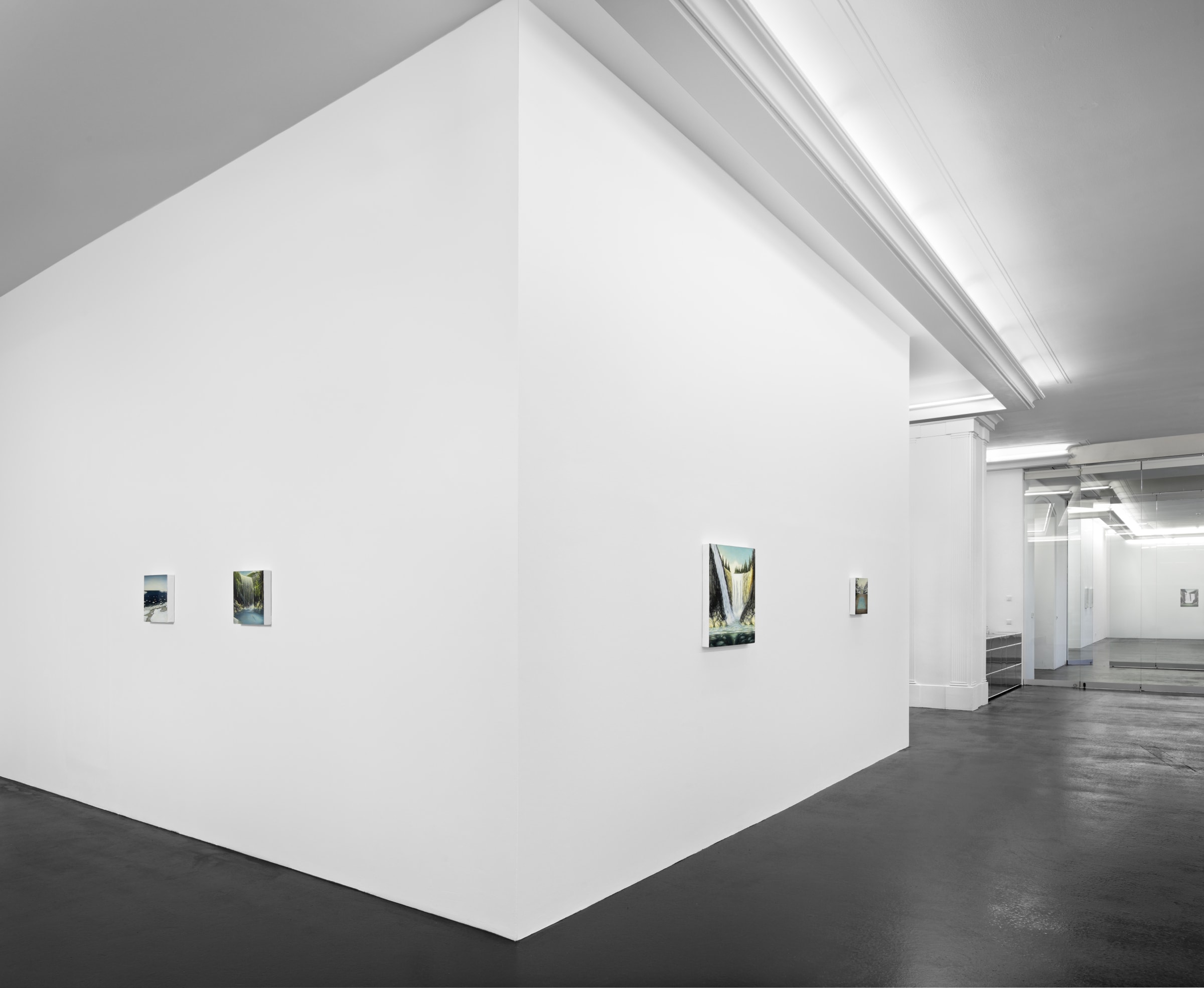 Dan Attoe Landscapes with Water Installation View March 1 – April 19, 2014 Peres Projects, Berlin